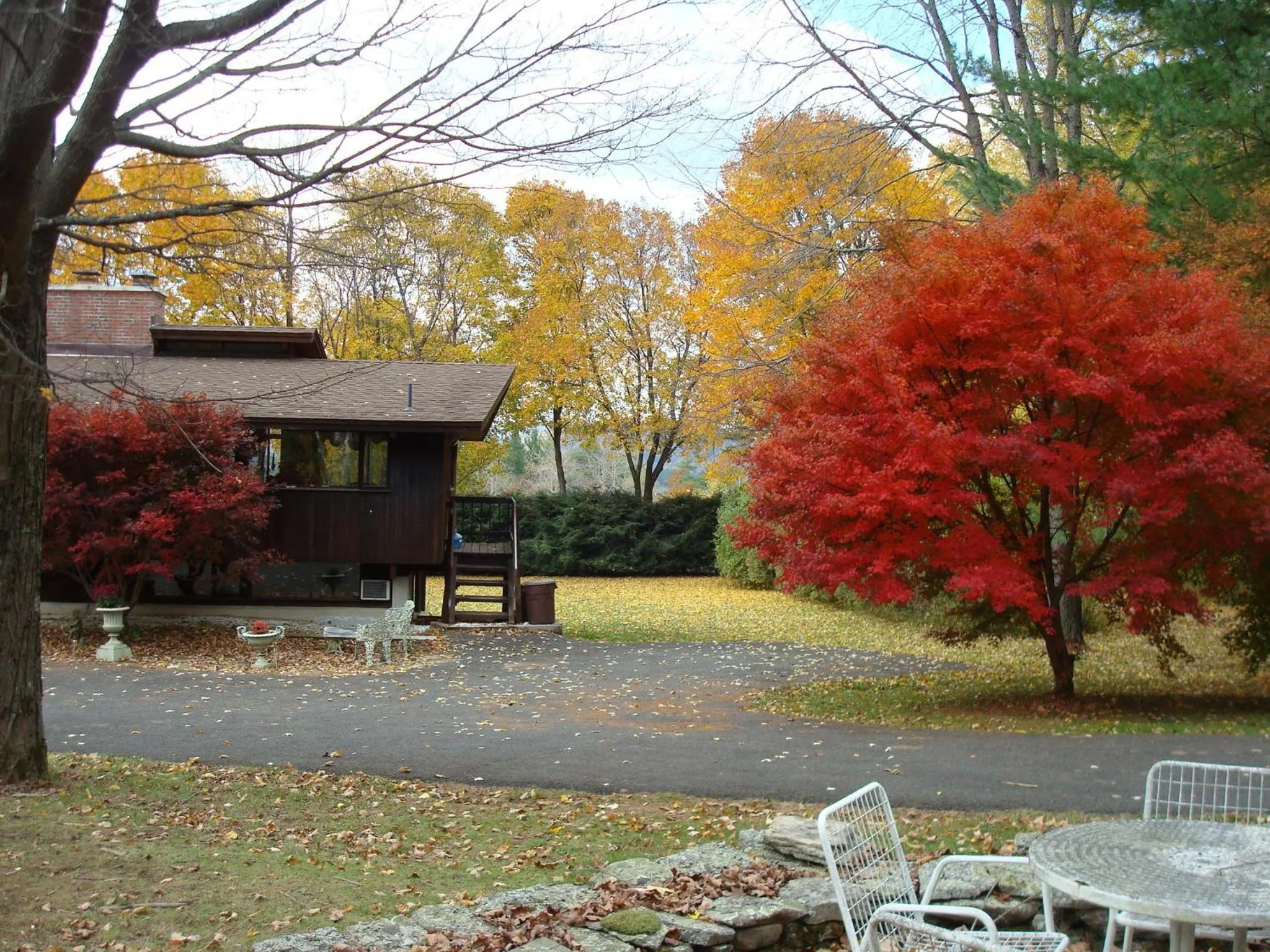 Garden in The Cottage