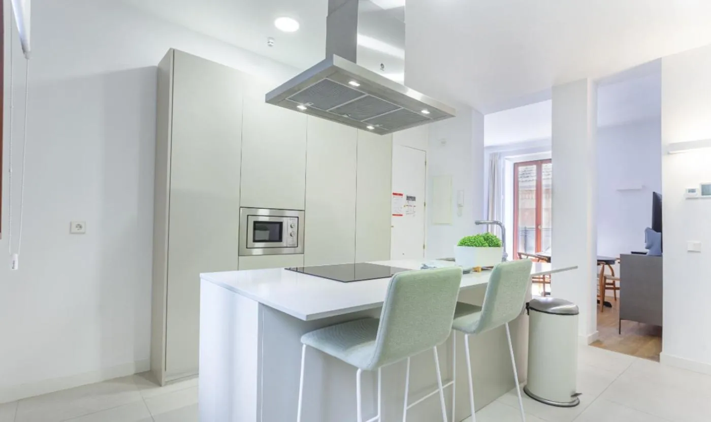 Kitchen or kitchenette in Bellas Artes en Madrid