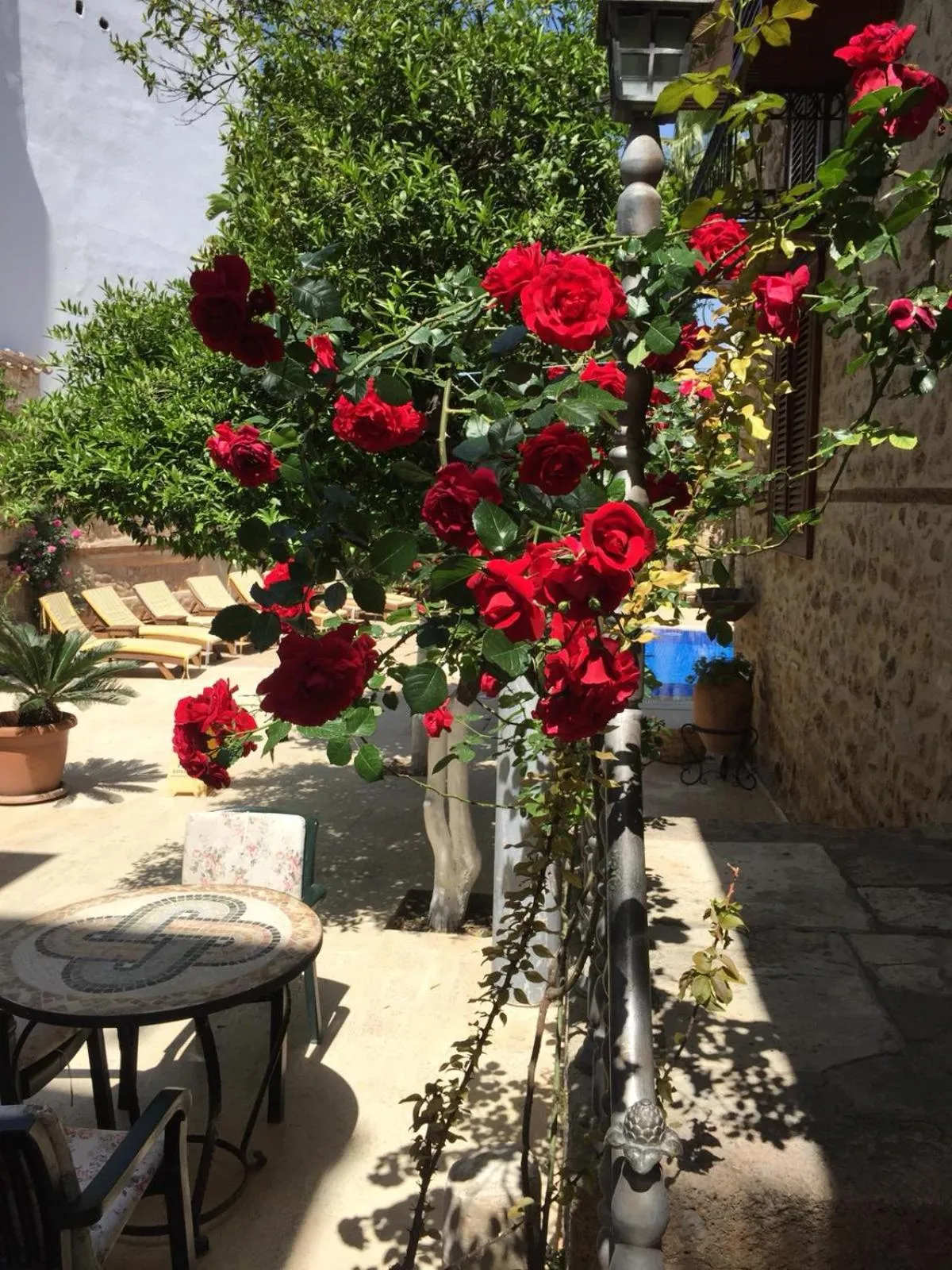 Patio in White Garden Hotel-Adult Only