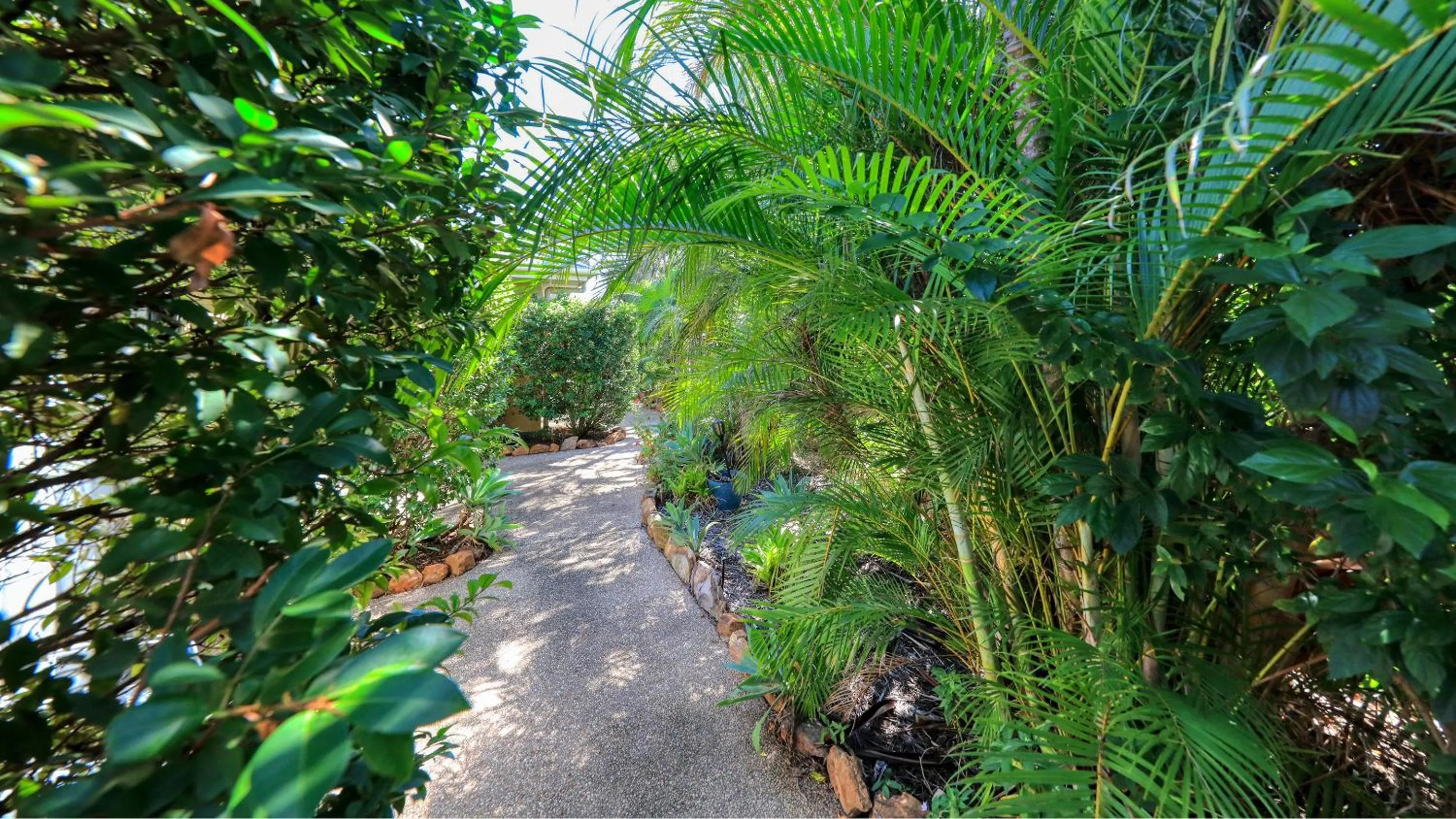 Garden in Emerald Gardens Motel & Apartments