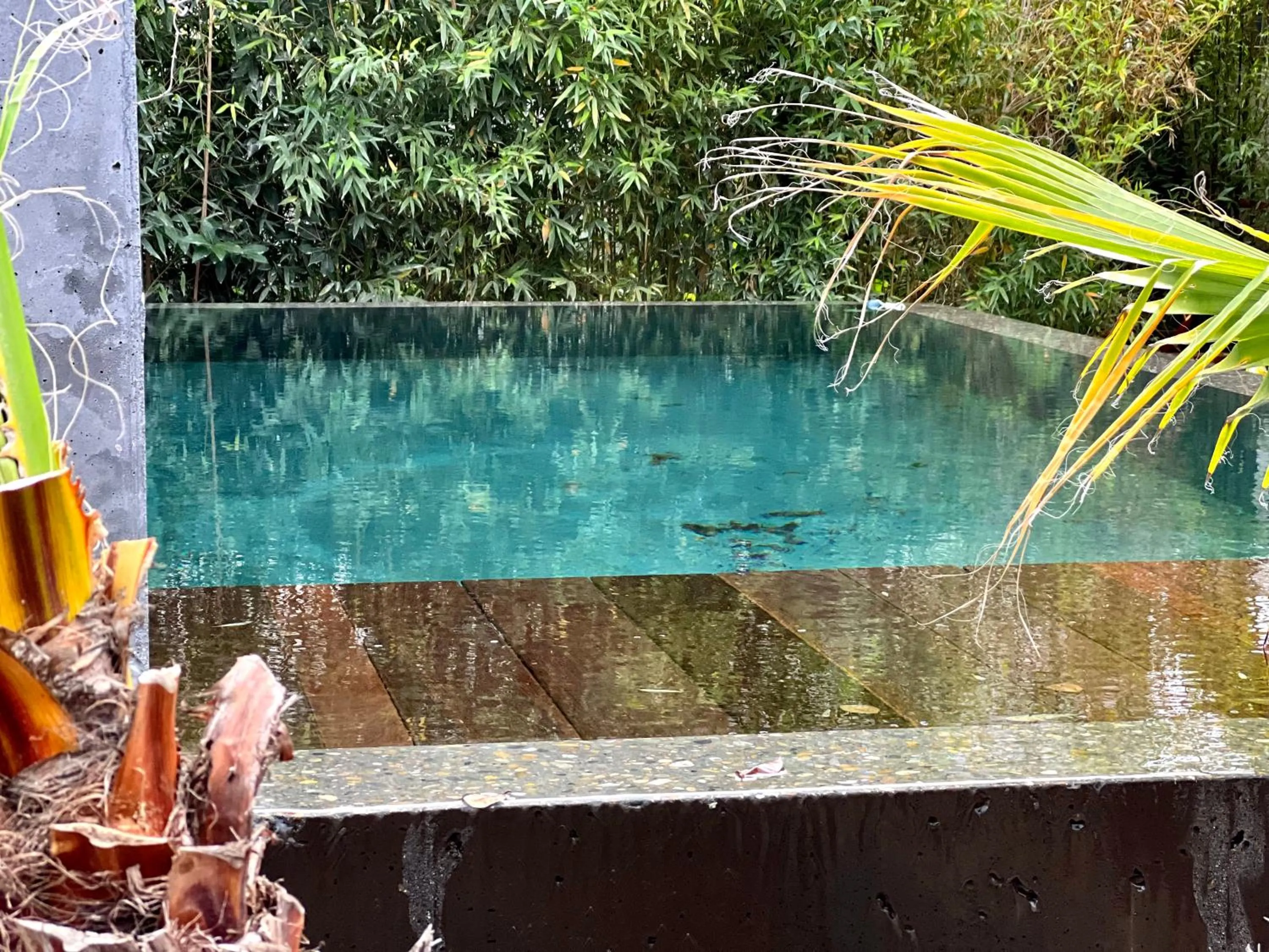 La Villa Canopée - Piscine chauffée-Fibre-Clim-Jacuzzi