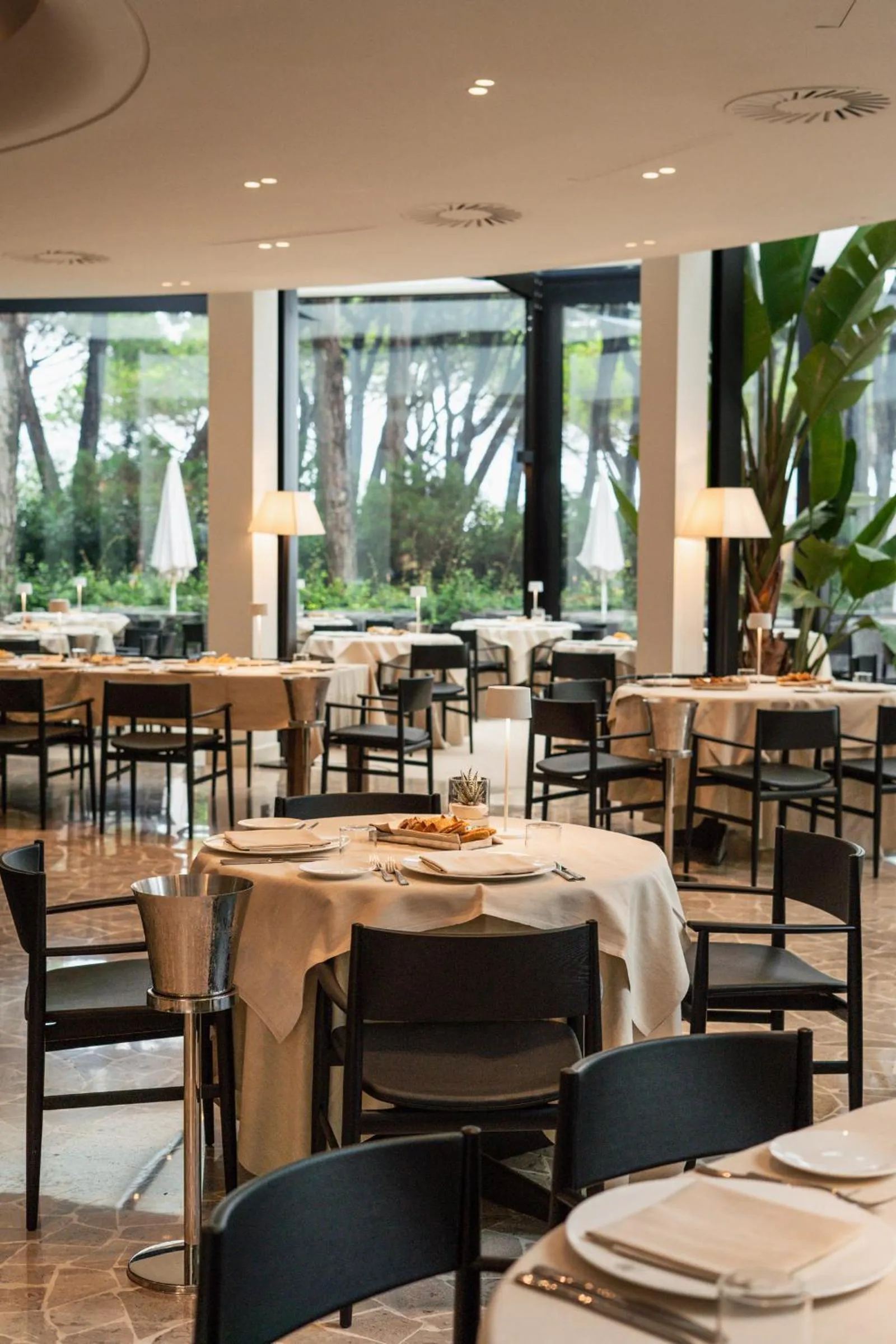 Restaurant/places to eat in Bellevue Hotel & Resort