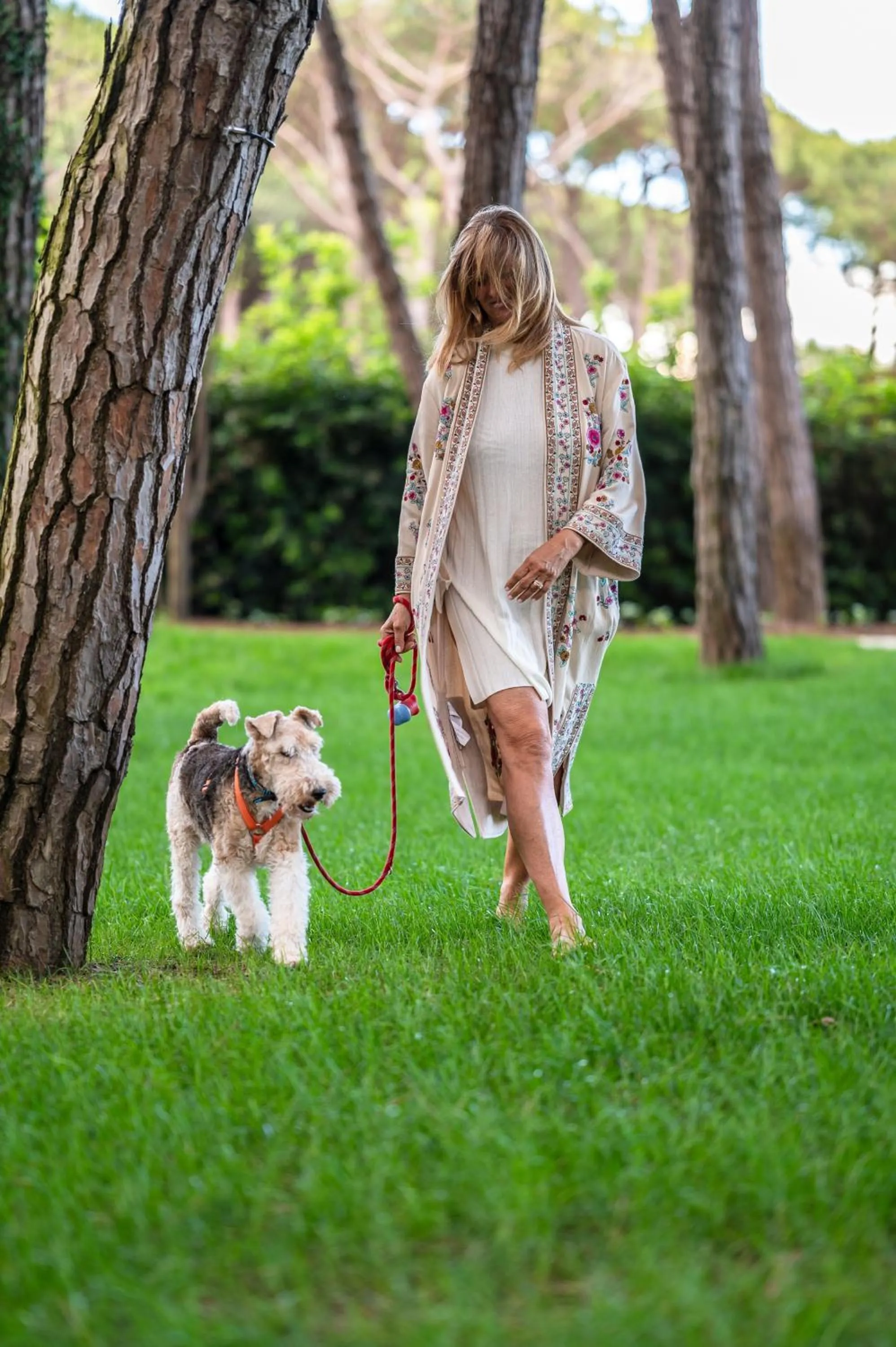 Animals in Bellevue Hotel & Resort