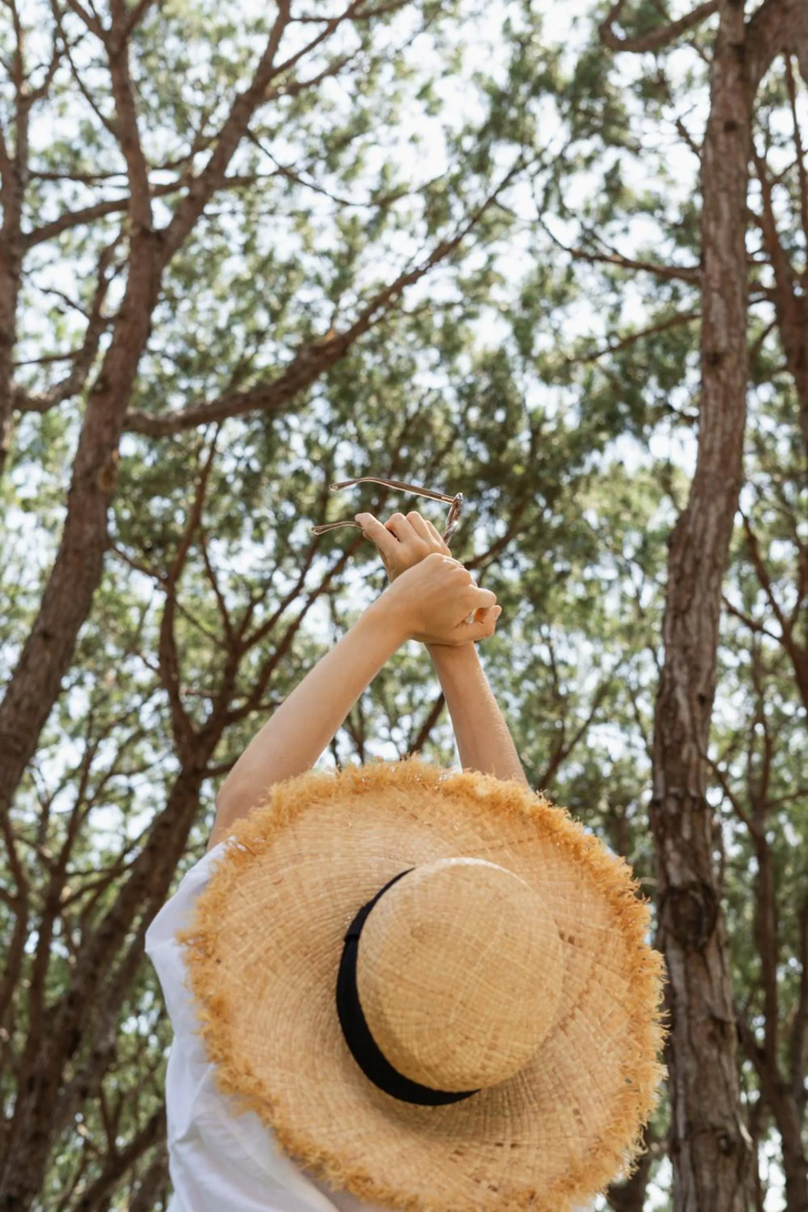 Garden in Bellevue Hotel & Resort