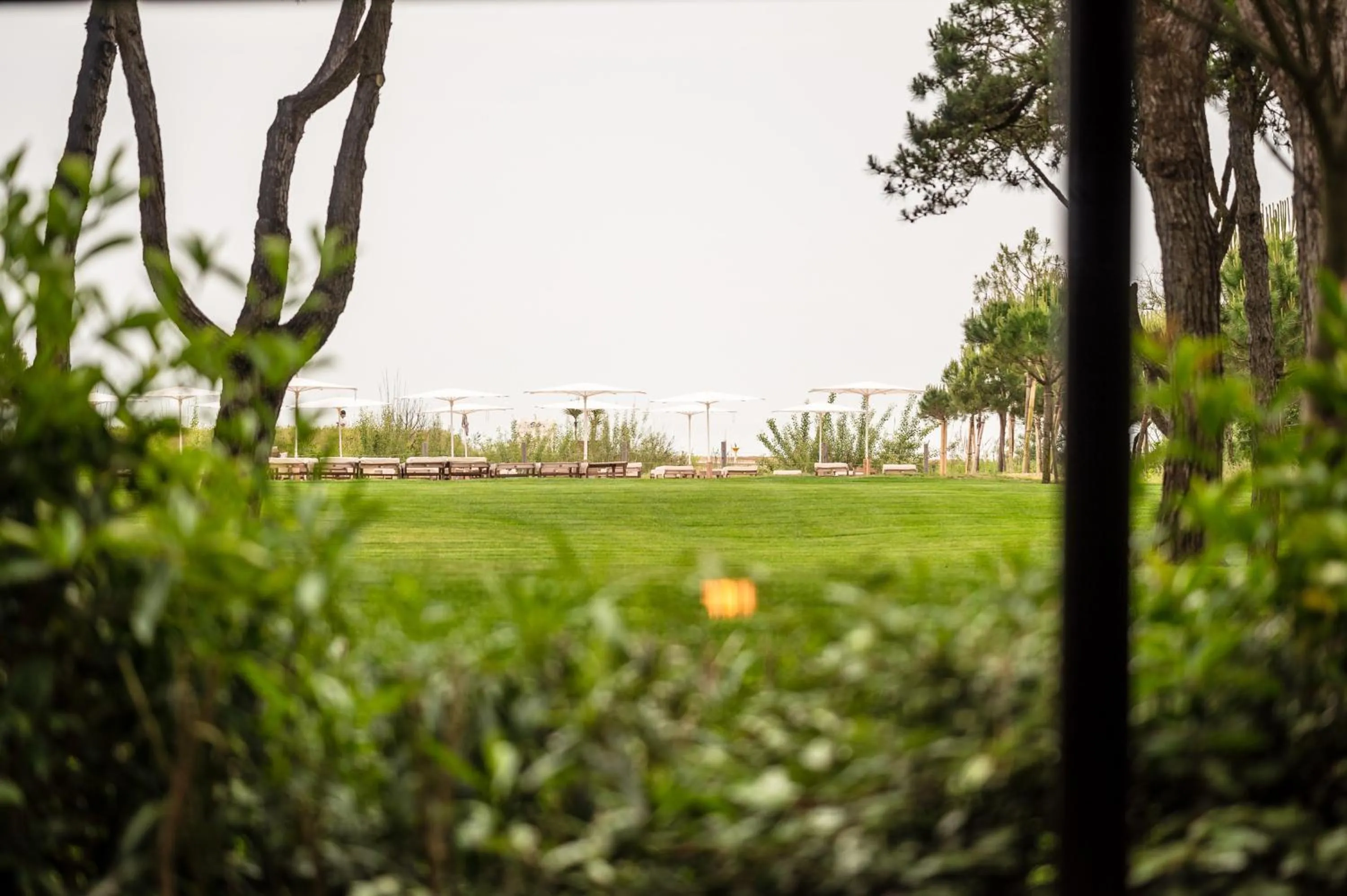 Garden view in Bellevue Hotel & Resort