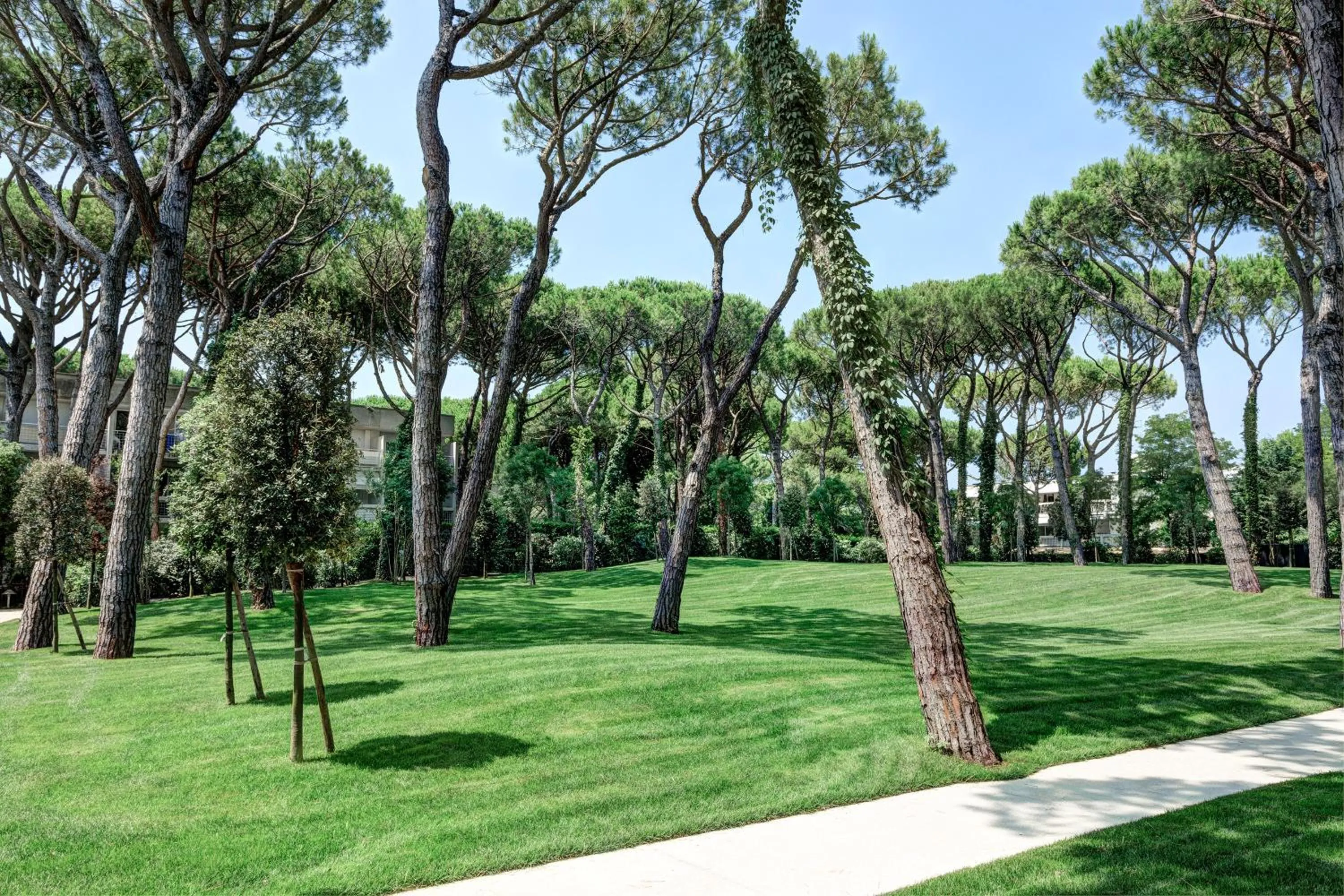 Property building in Bellevue Hotel & Resort