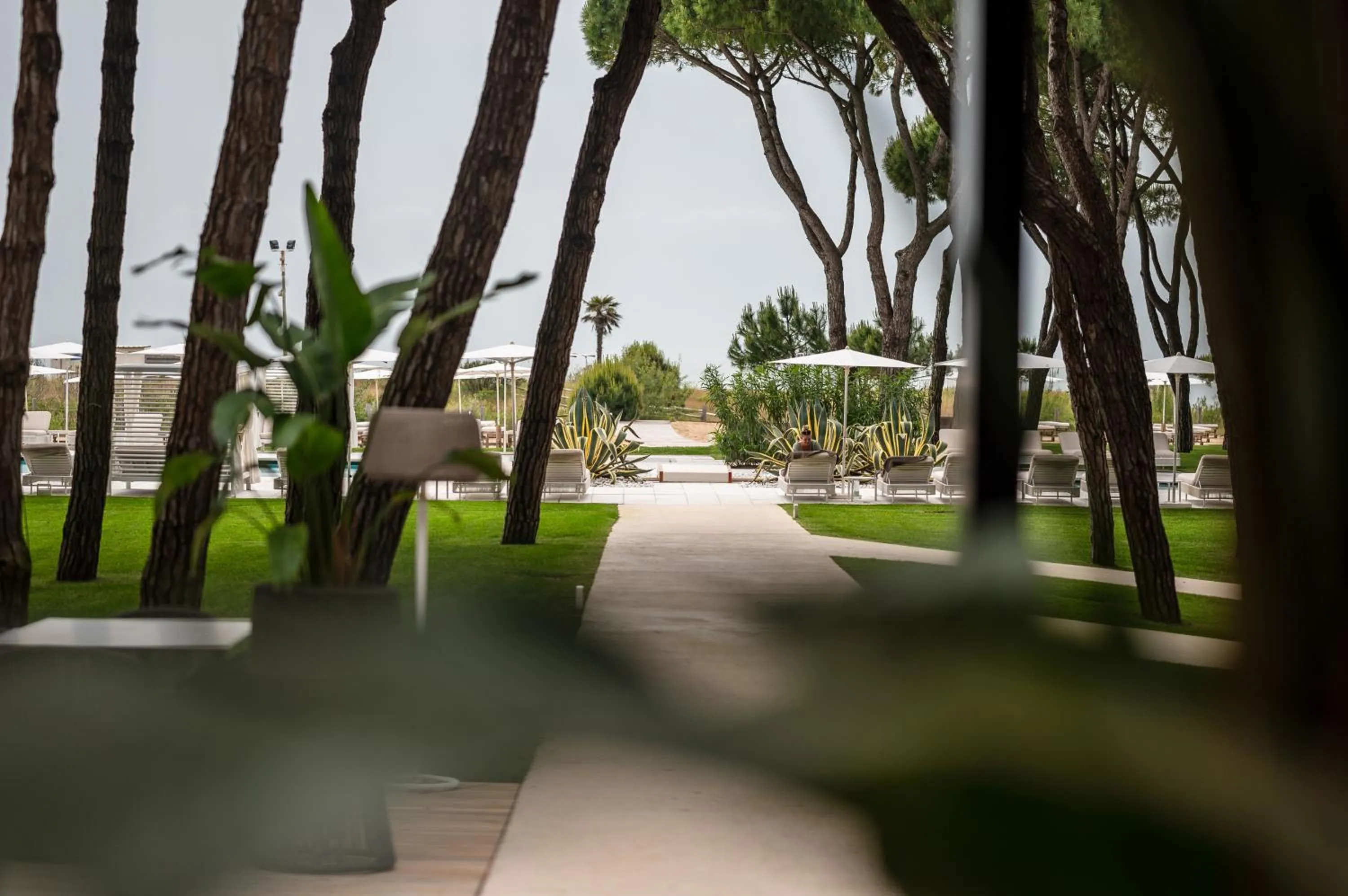 Garden view in Bellevue Hotel & Resort