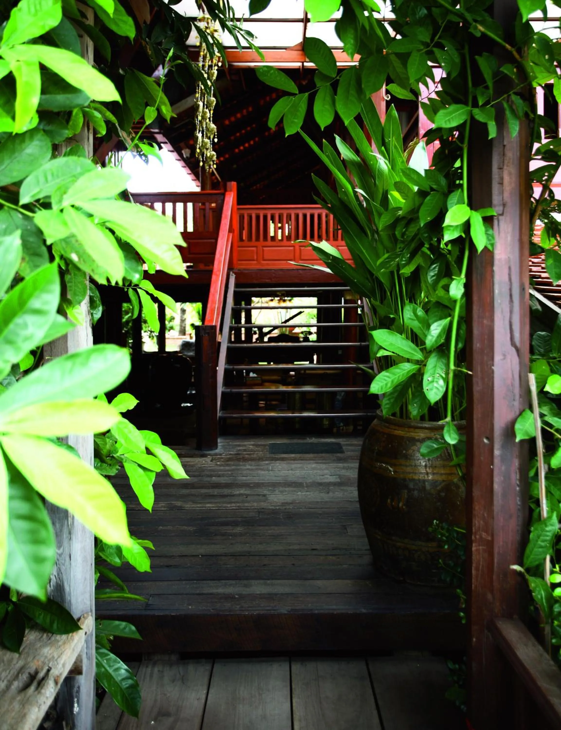 Garden in Ayutthaya retreat