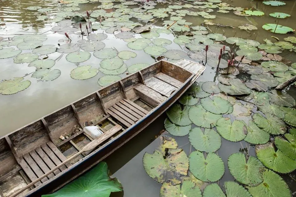 Other in Ayutthaya retreat
