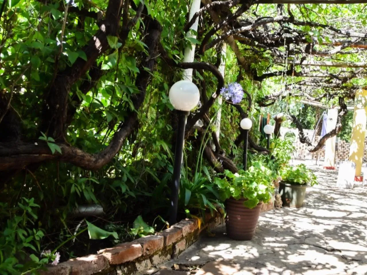 Garden in Anker Guesthouse