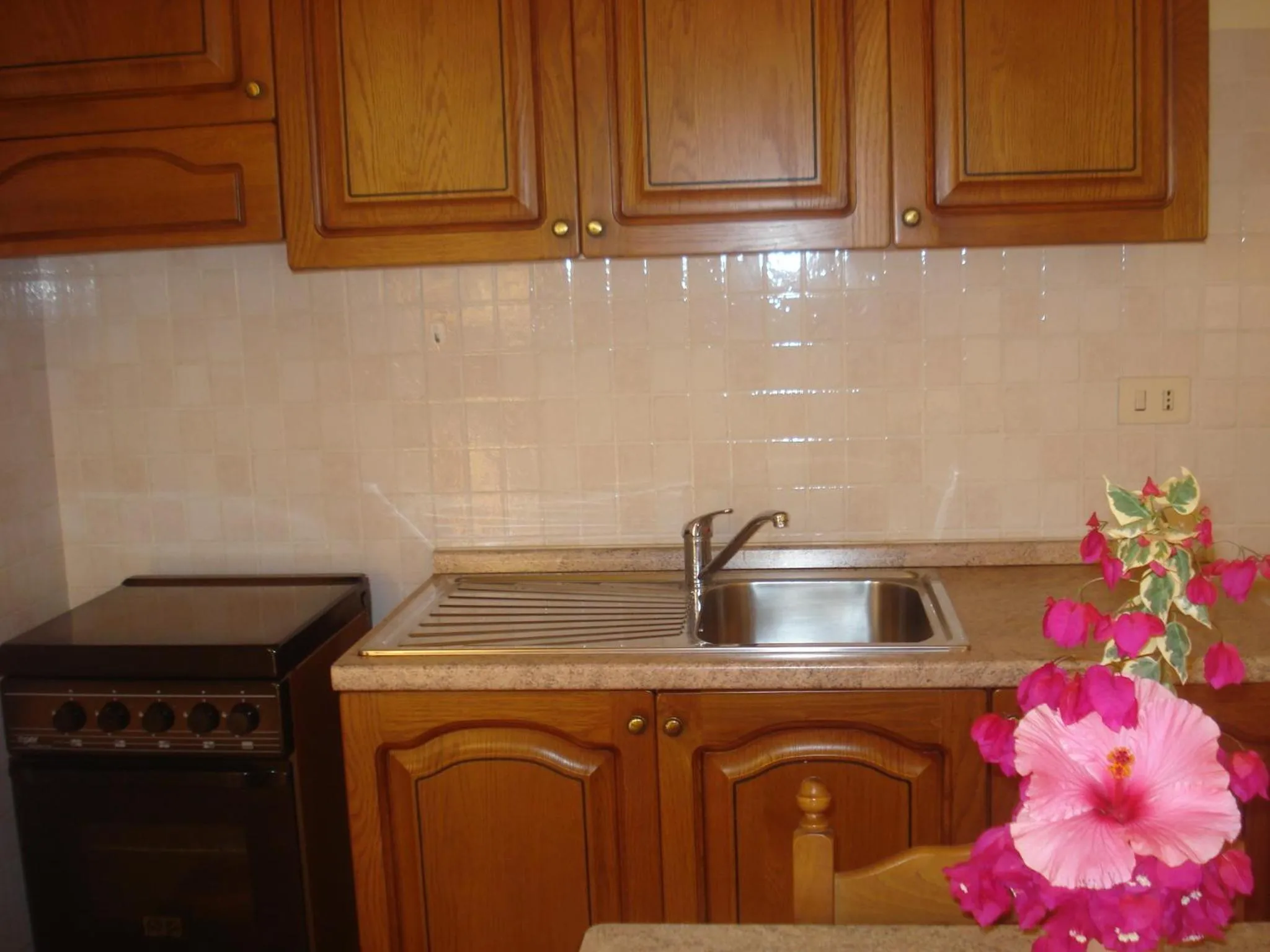 Kitchen or kitchenette in Villaggio Camping La Scogliera