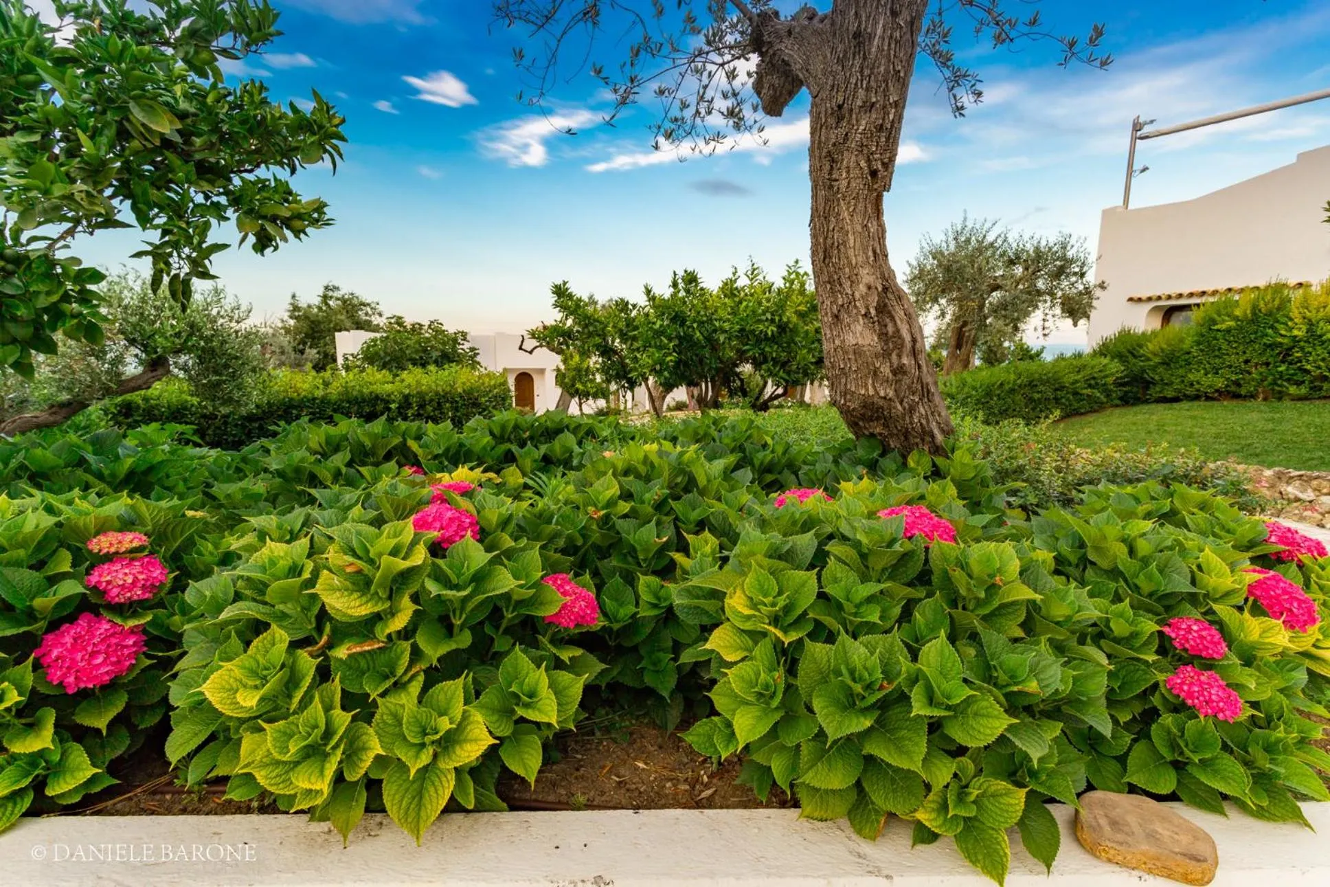 Garden in Baia Delphis Resort