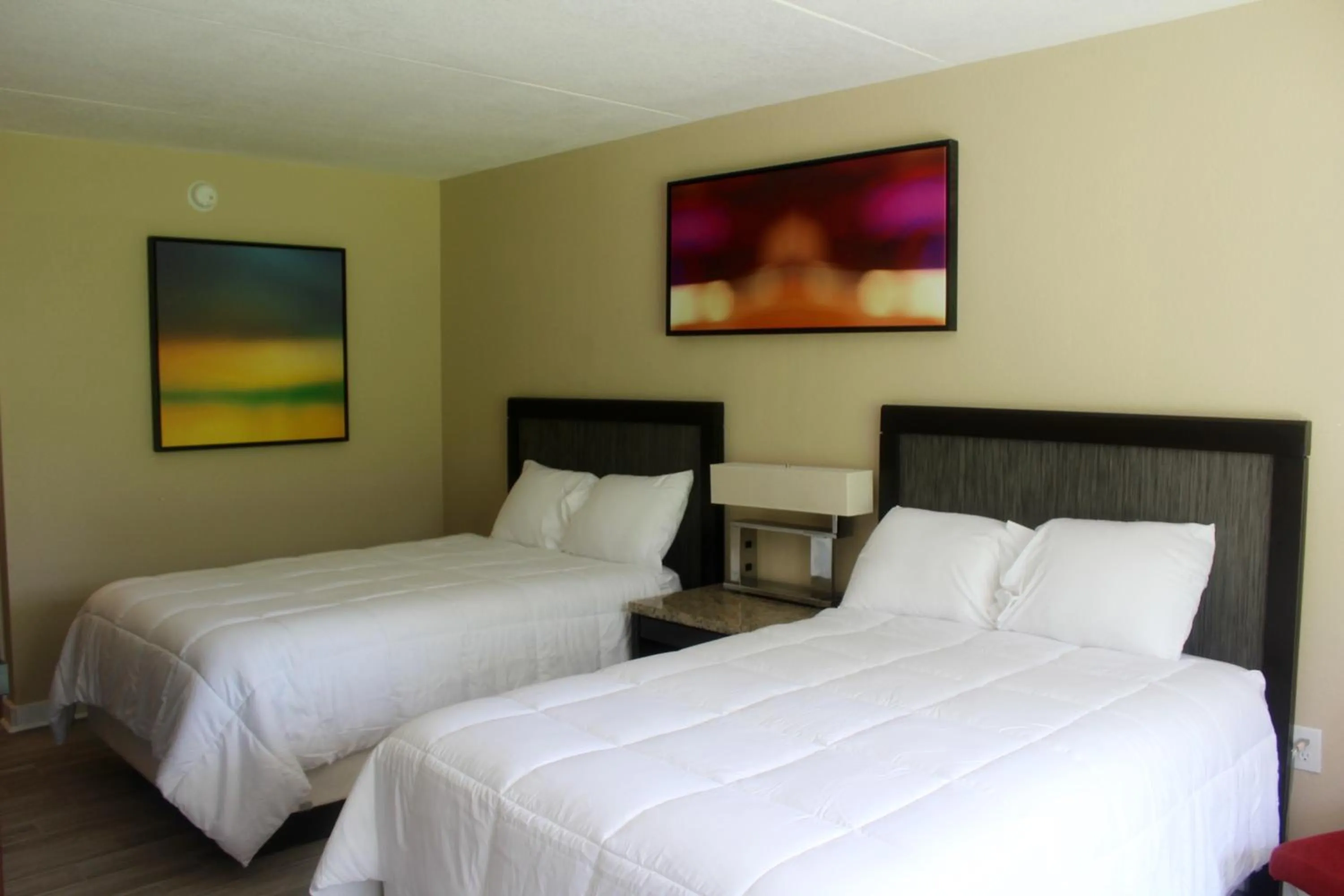 Bedroom in Econo Lodge