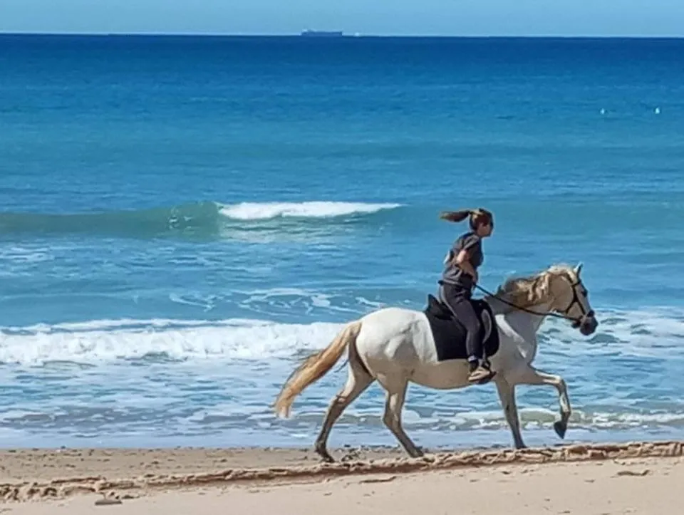 Beach in La Aldea
