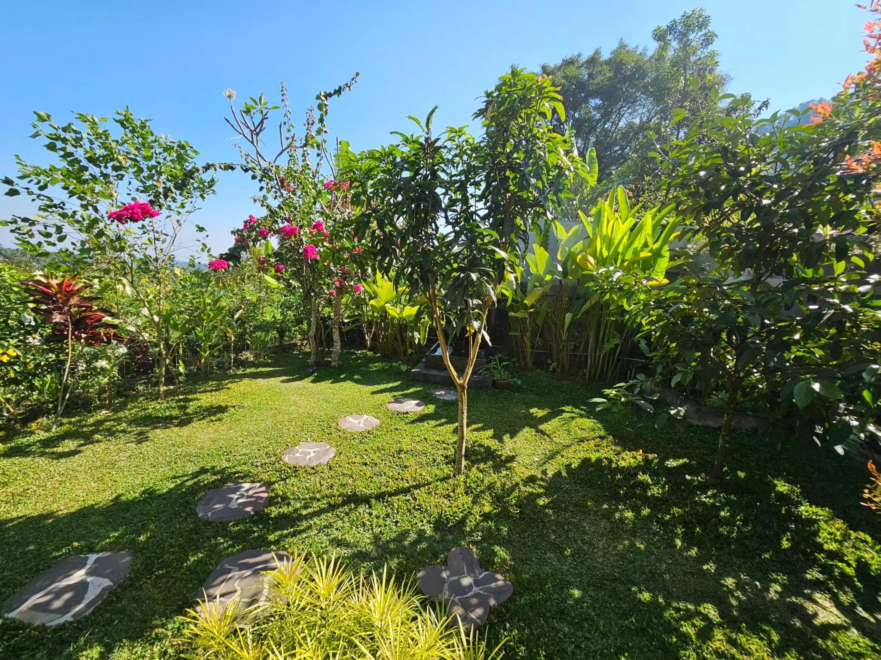 Garden in Villa Markisa Pakisan