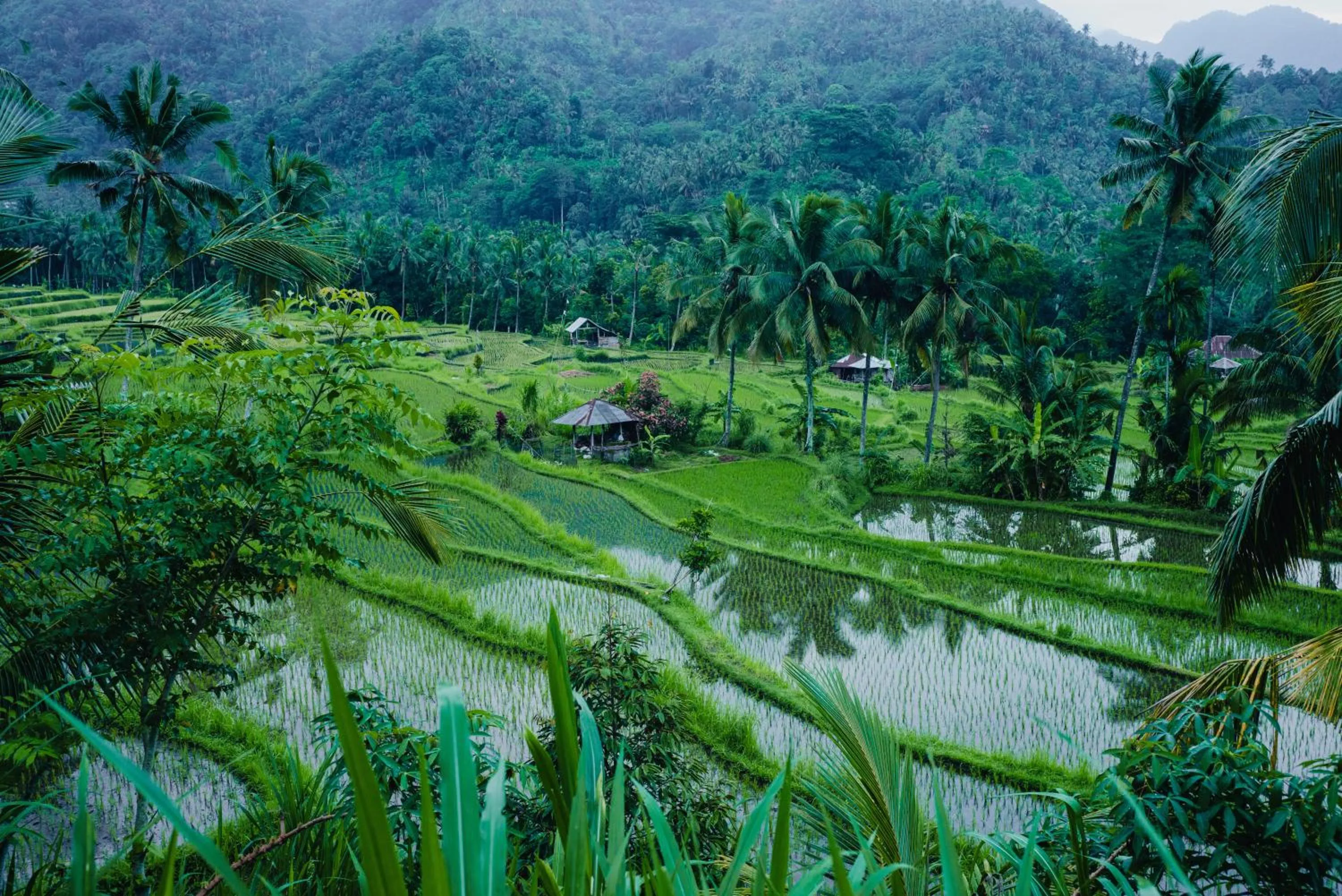 Hiking in Villa Markisa Pakisan