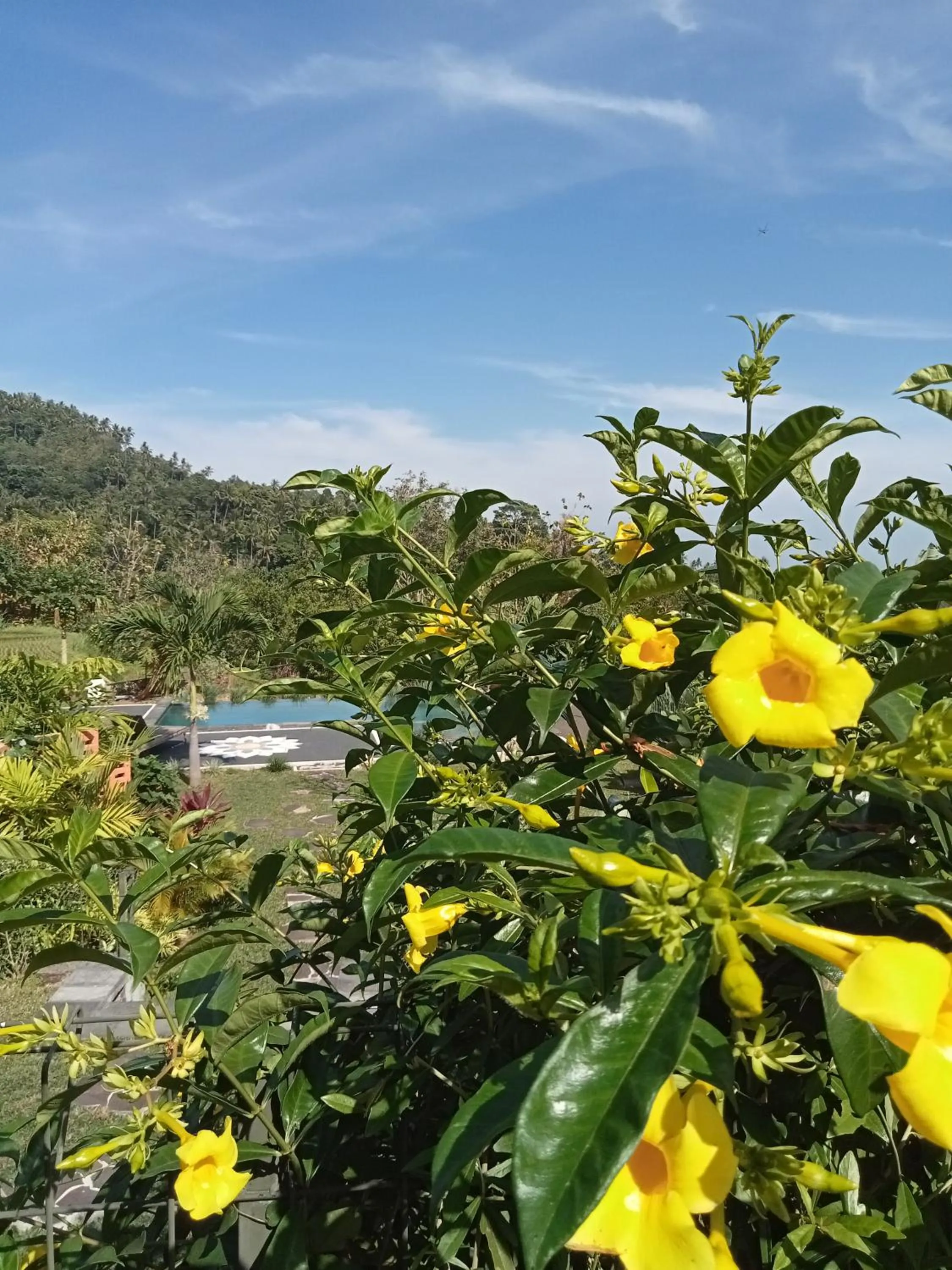 Garden in Villa Markisa Pakisan
