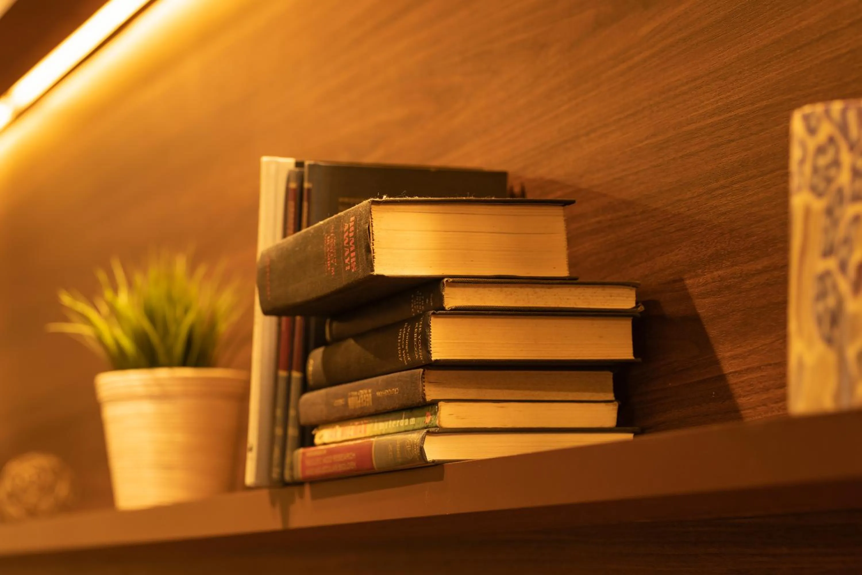 Communal lounge/ TV room in First Cabin Haneda Terminal 1