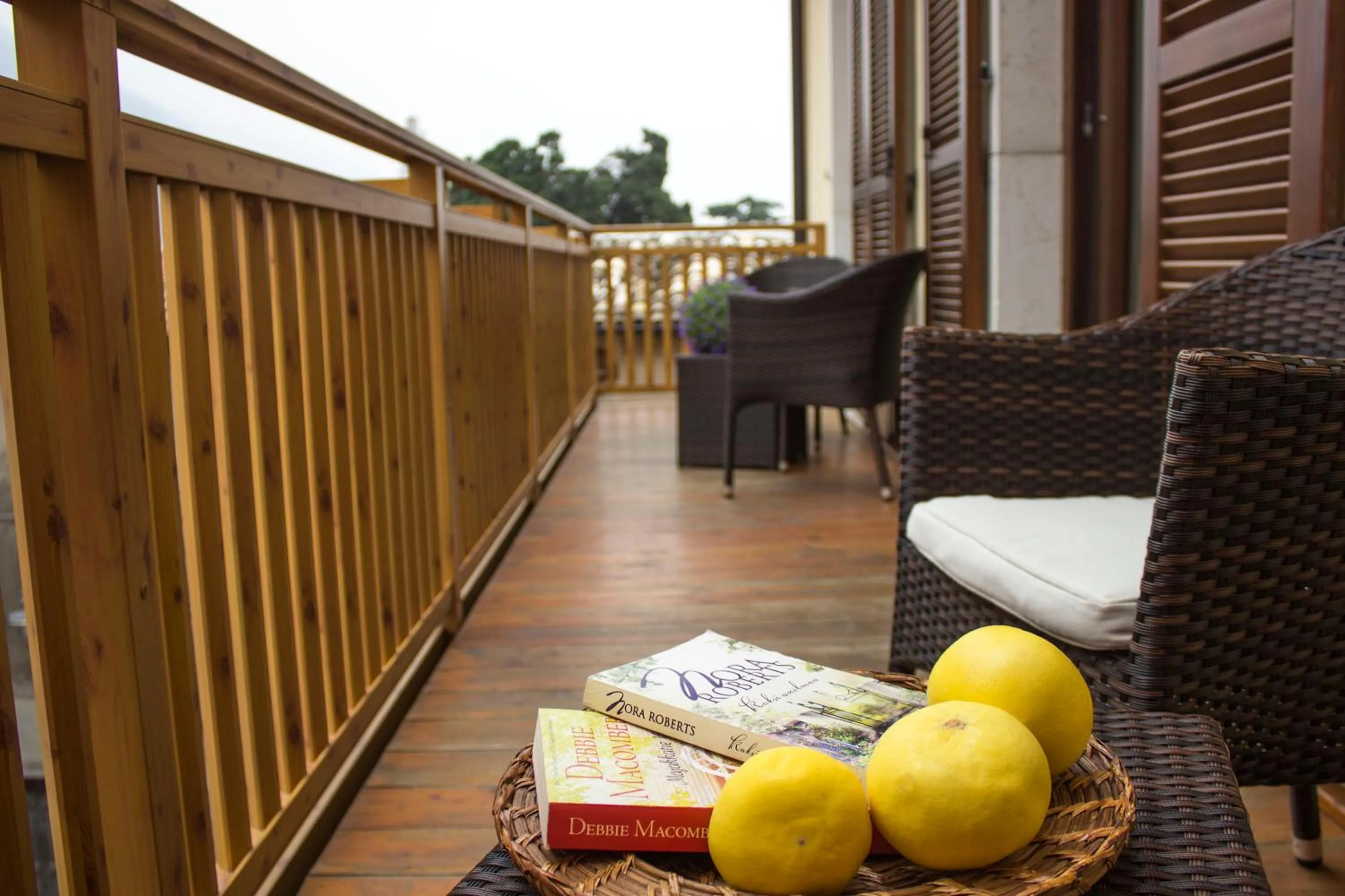 Balcony/Terrace in Hotel Dolomiti