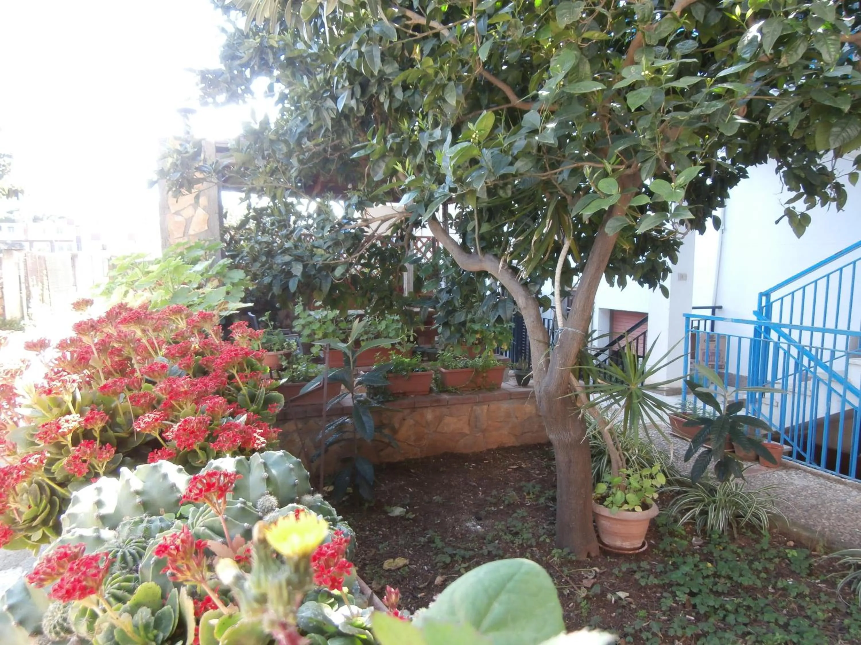 Facade/entrance in Busalacchi B&B