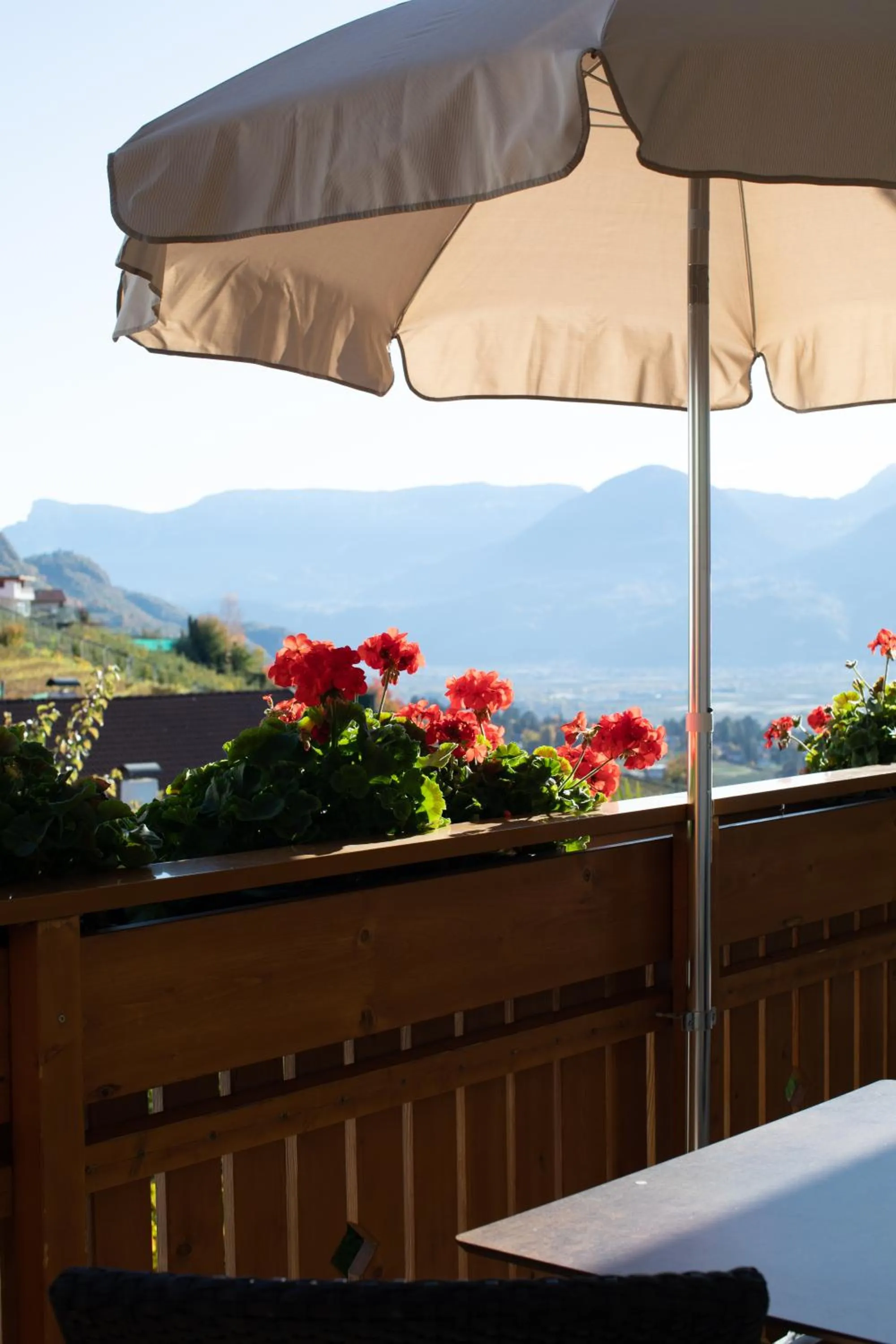 Mountain view in Residence Walchhof