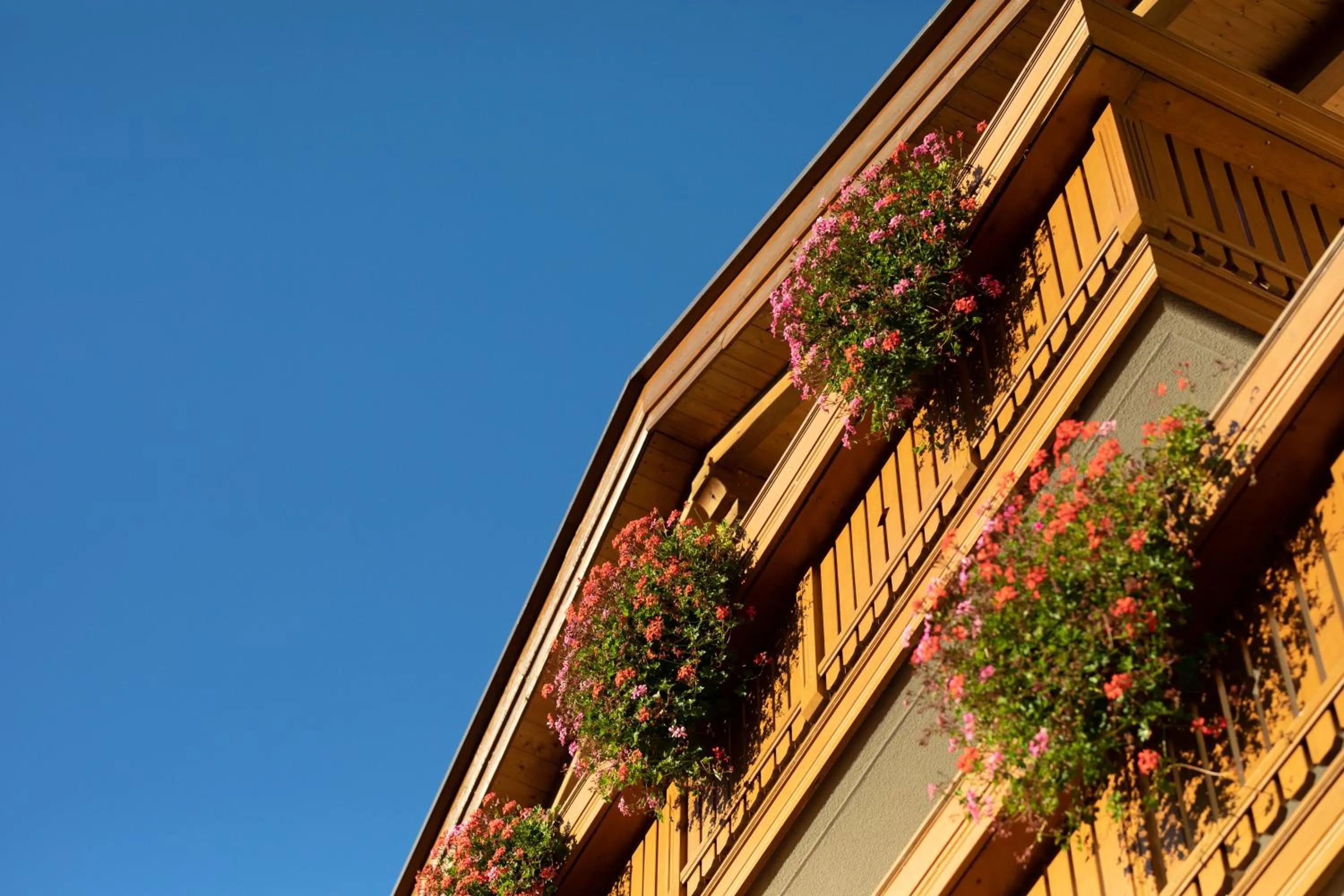 Property building in Residence Walchhof