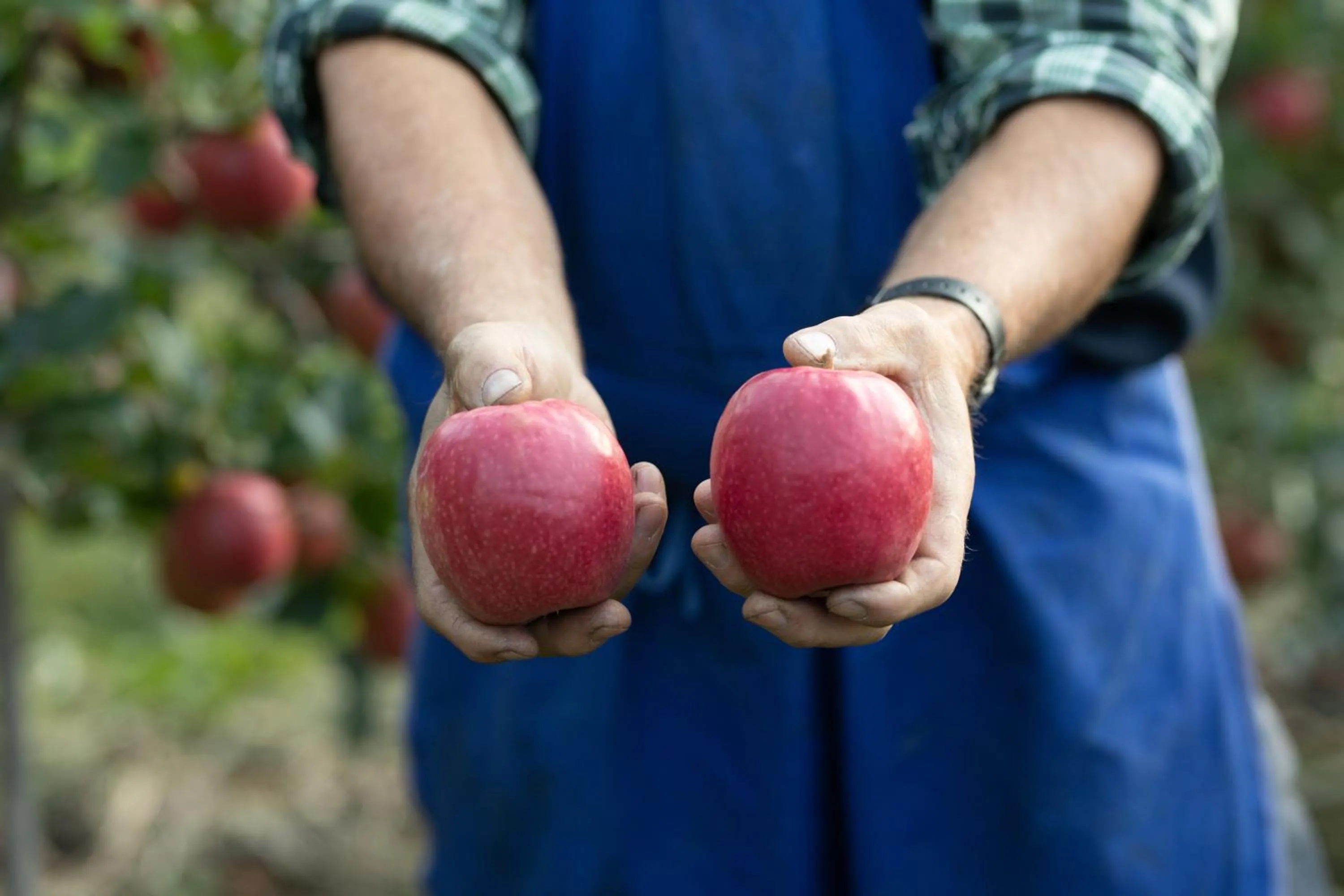 Family in Residence Walchhof