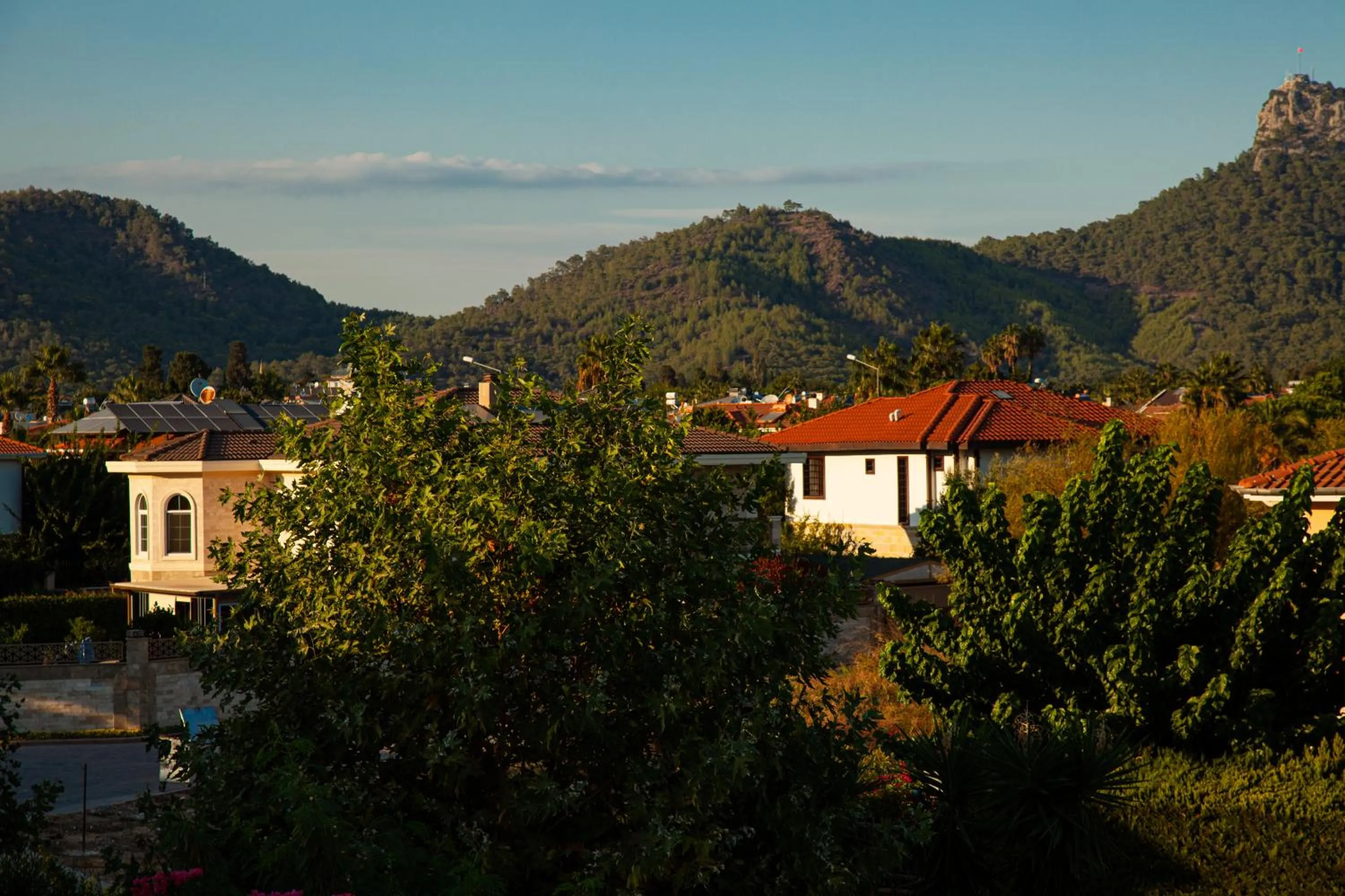 Day in Edem Flower Hotel