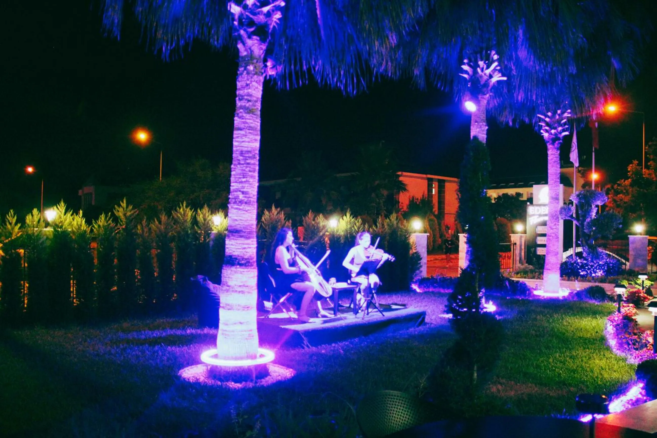 Night in Edem Flower Hotel