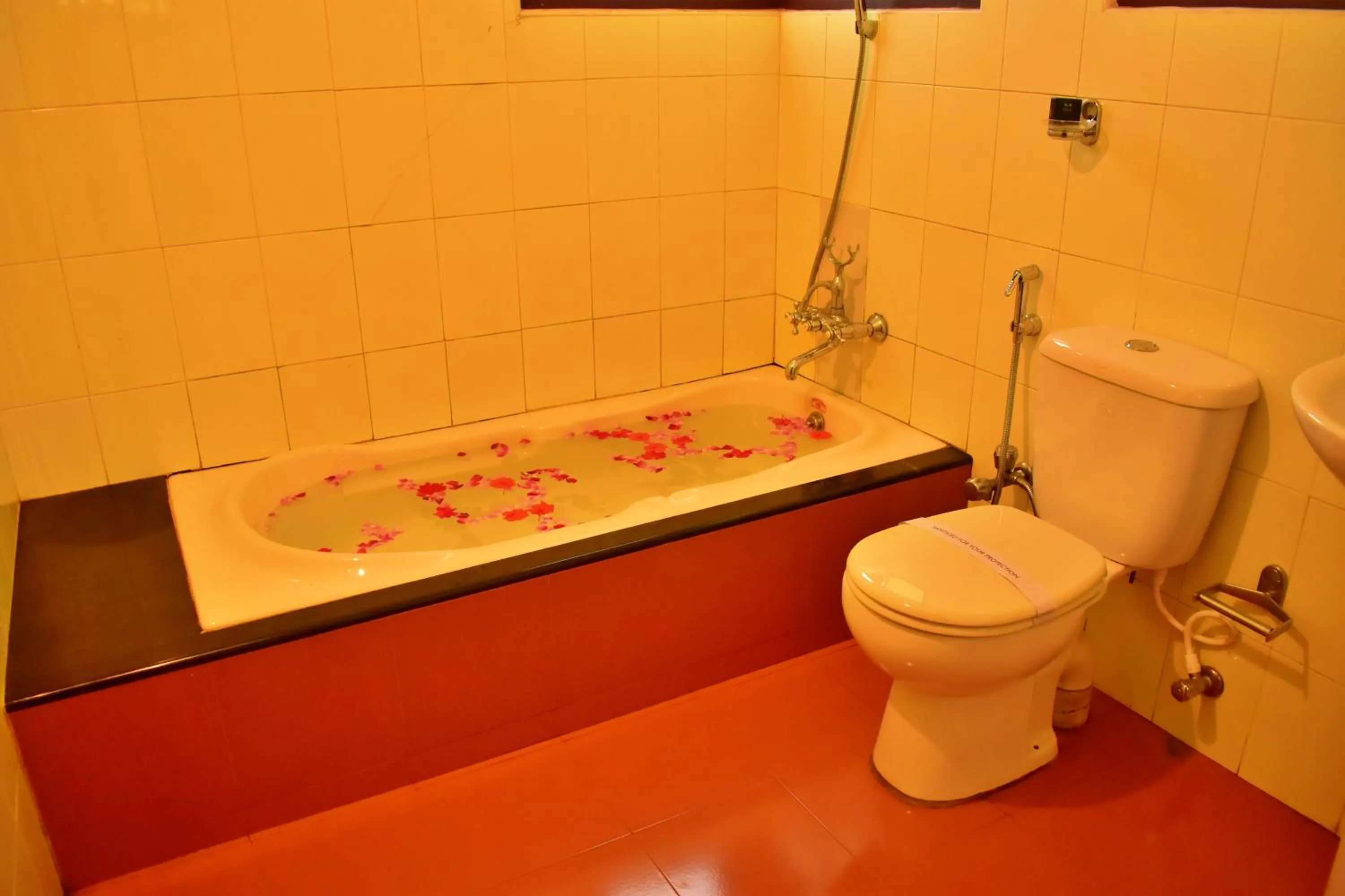 Toilet in Adrak Summer Sand Hill Resort Vagamon