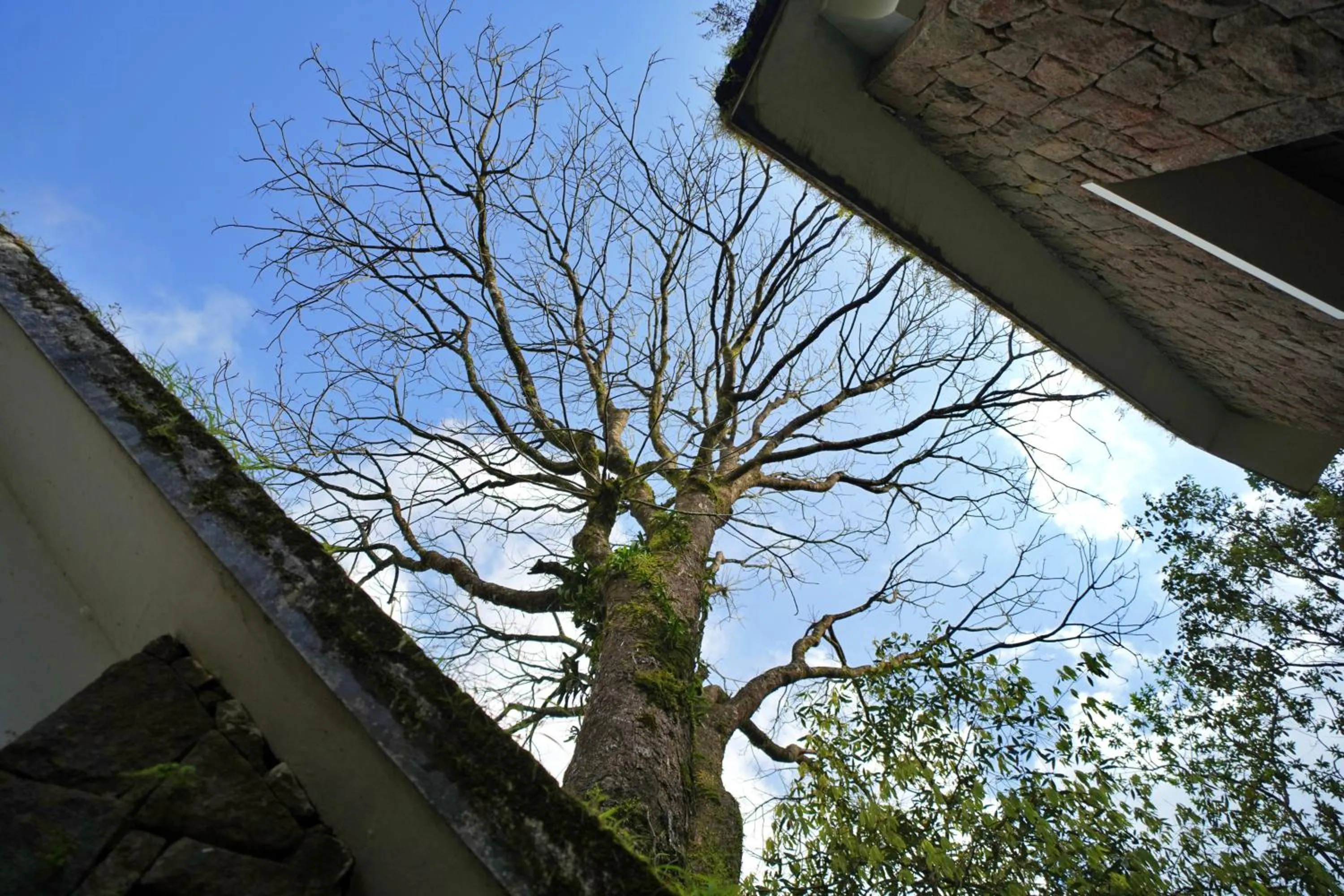 View (from property/room) in Adrak Summer Sand Hill Resort Vagamon