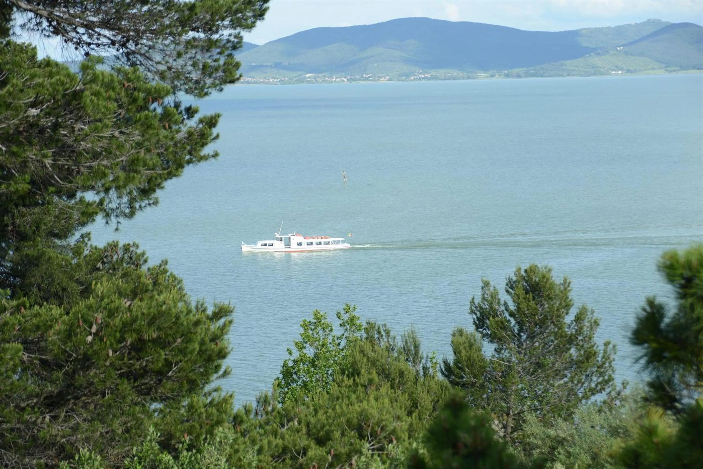 Area and facilities in Hotel La Torre