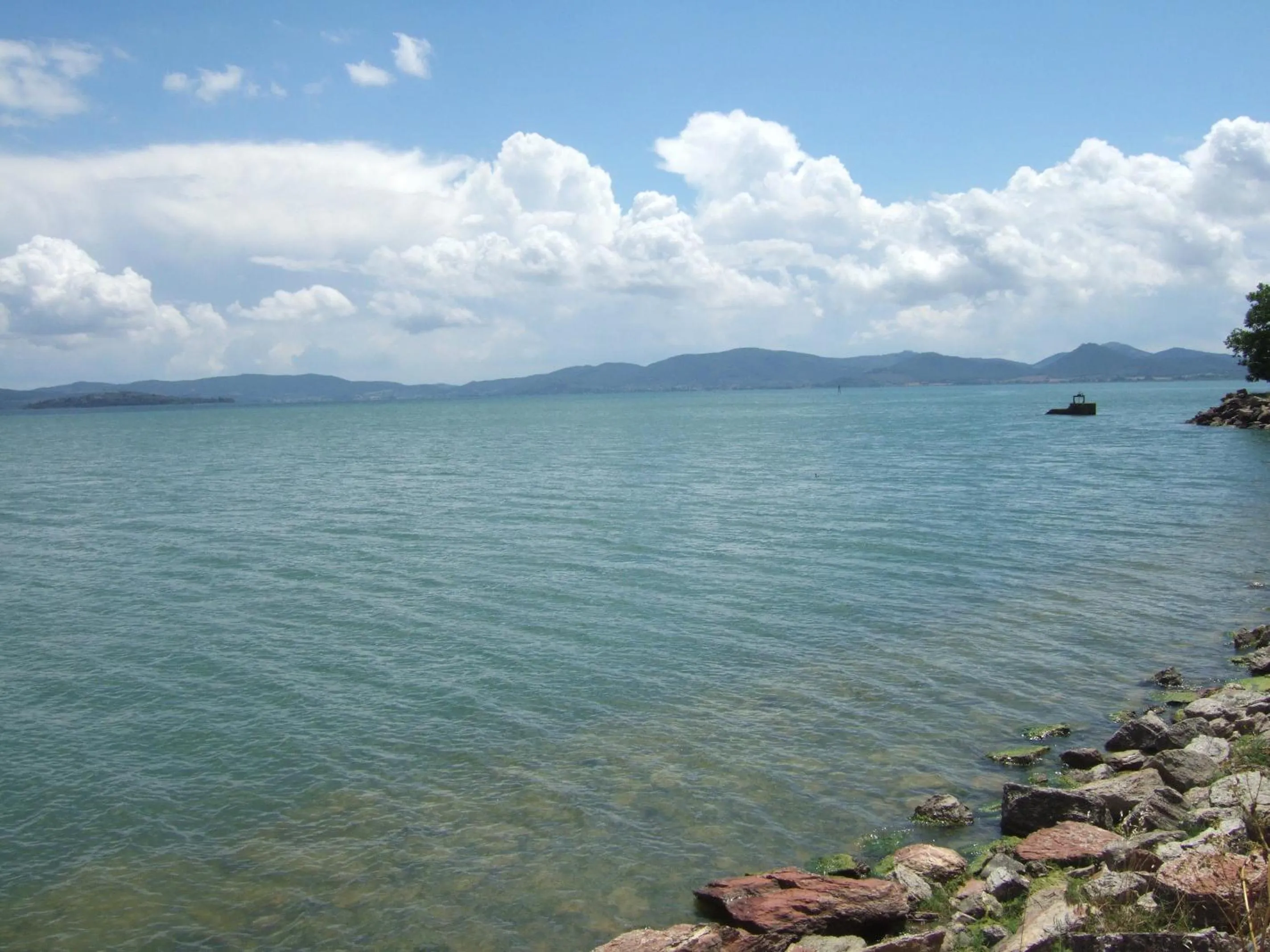 Area and facilities in Hotel La Torre