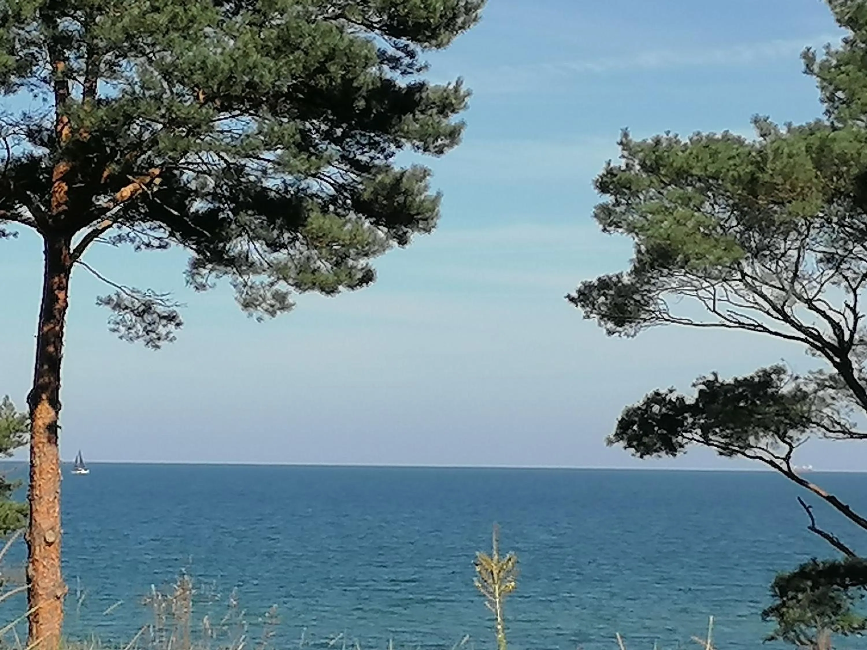Natural landscape in Strandhotel Lindequist
