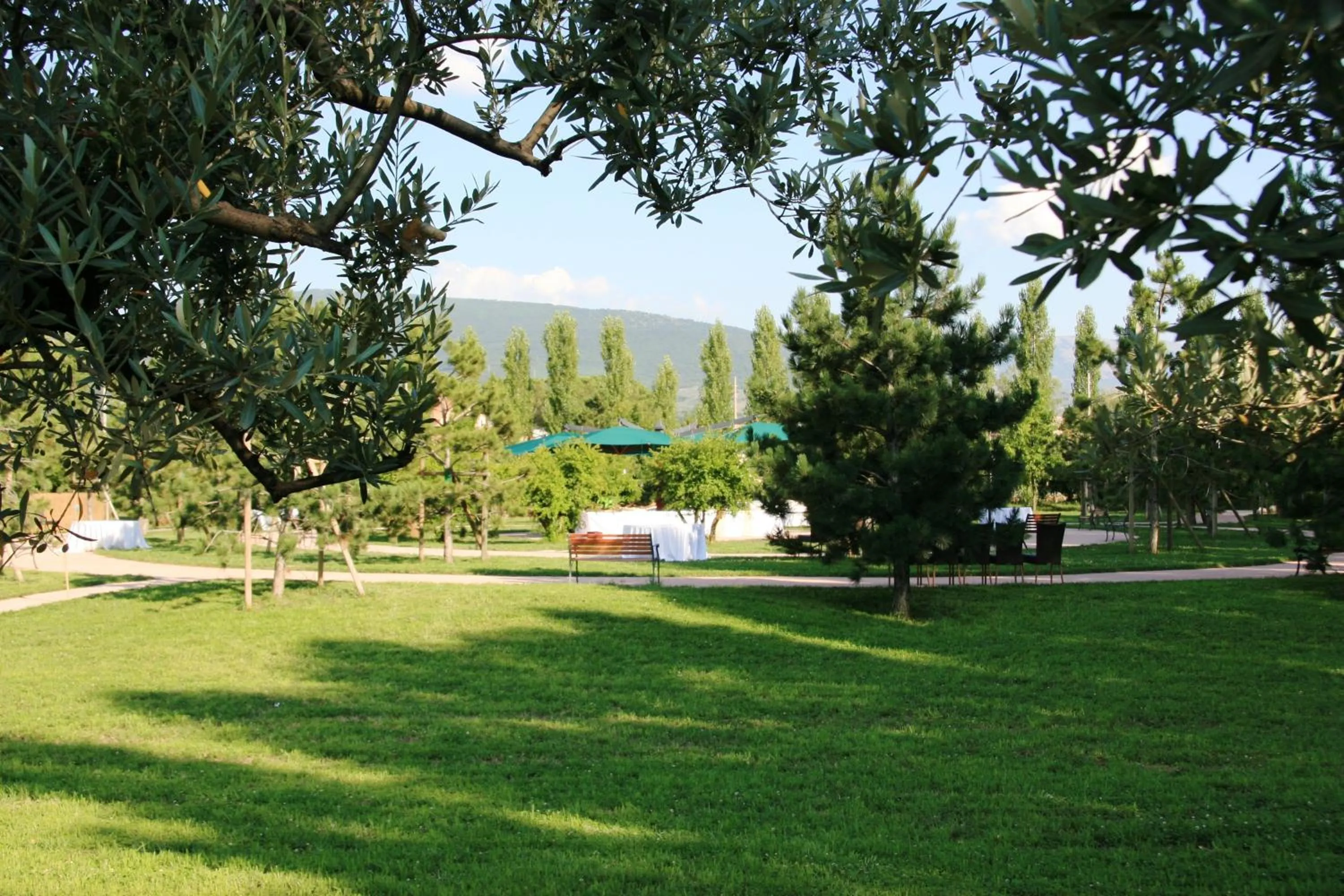 Garden in Delfina Palace Hotel