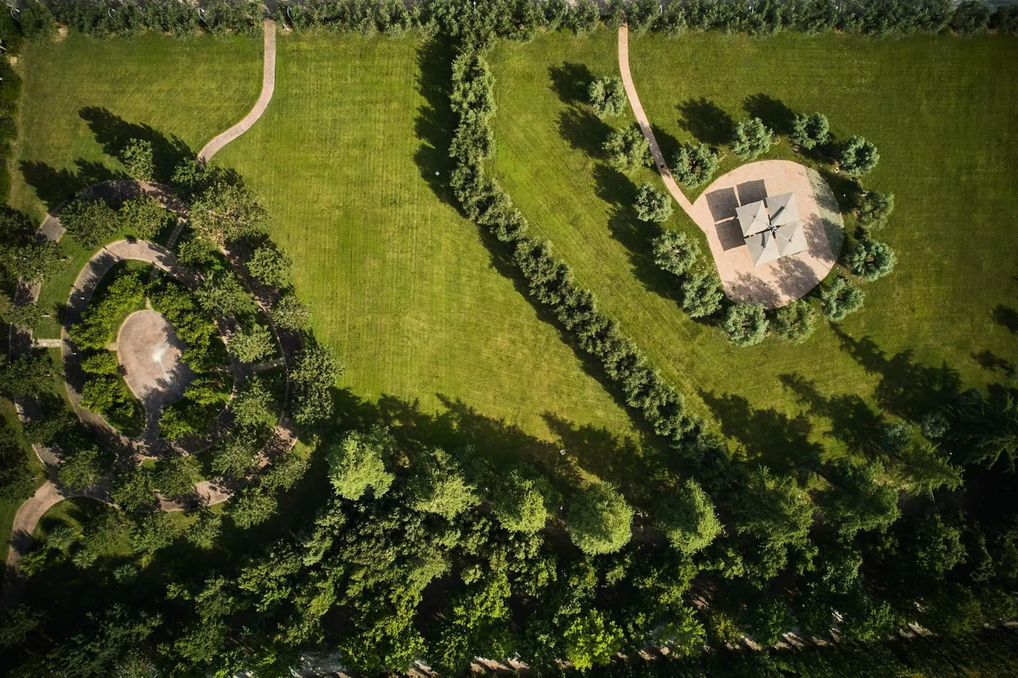 Garden in Delfina Palace Hotel