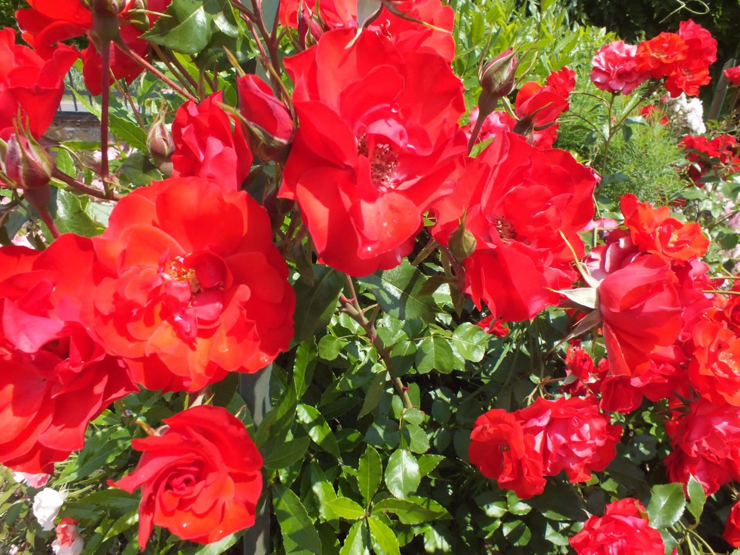 Decorative detail in Casa Vacanze Santa Maria