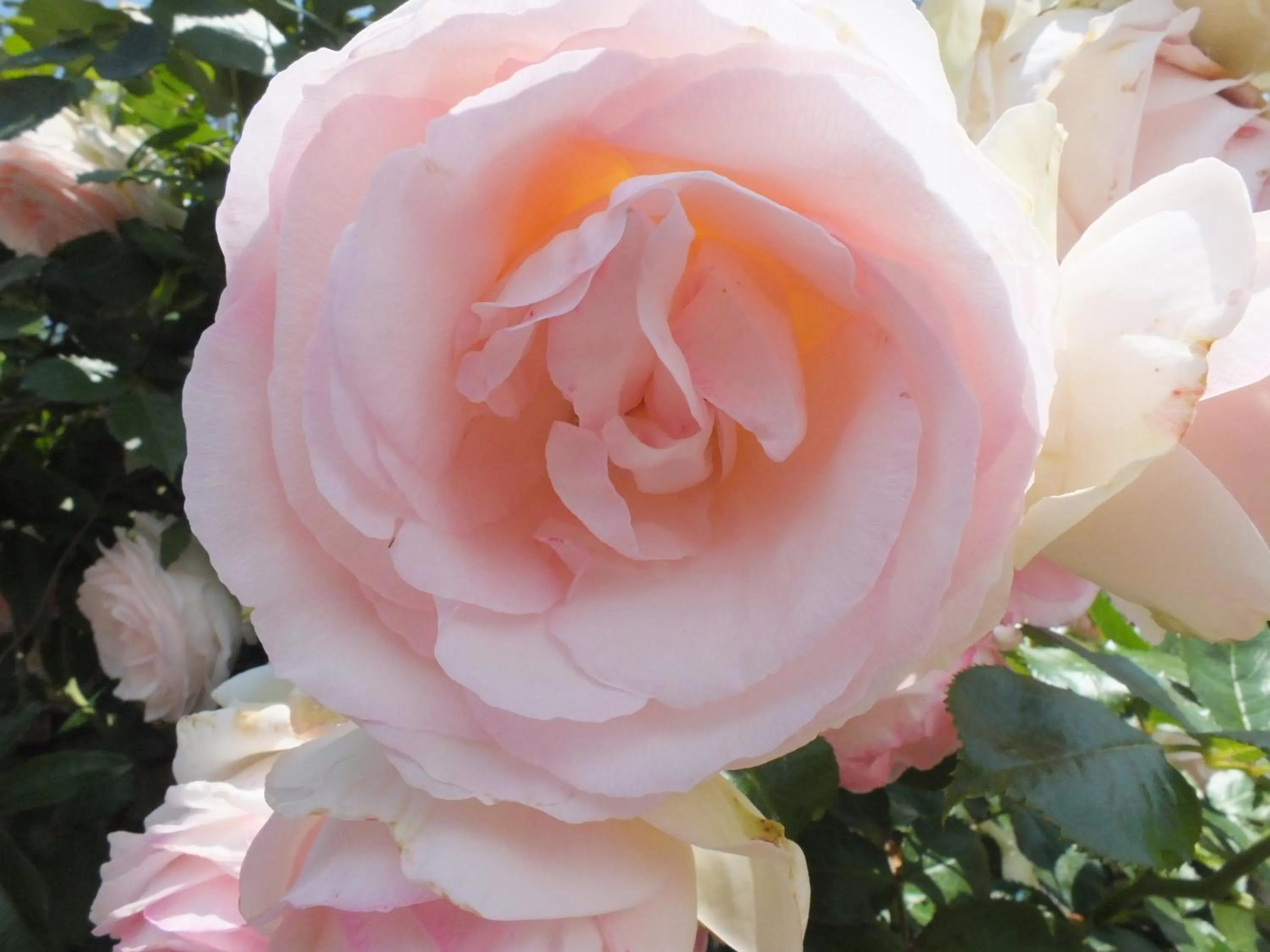 Decorative detail in Casa Vacanze Santa Maria