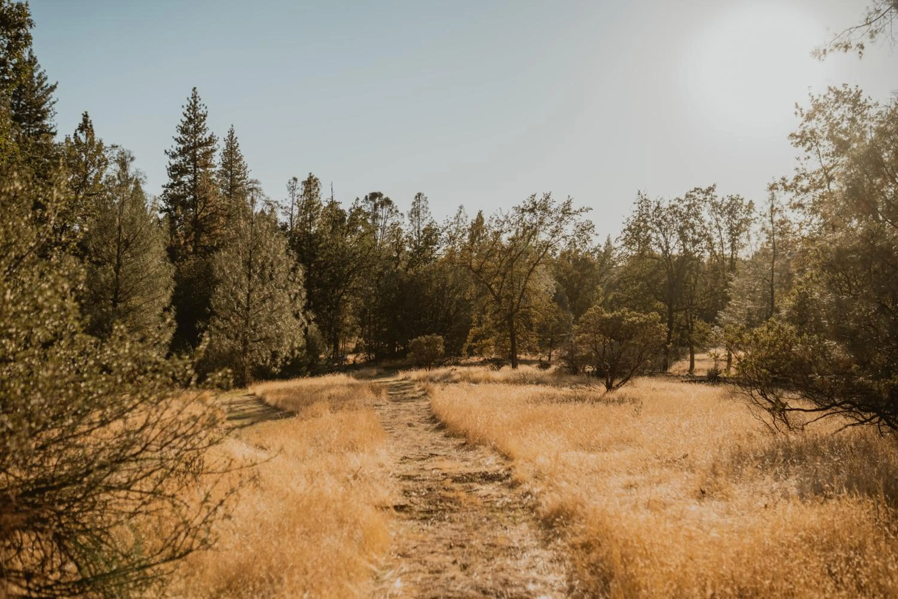 Day in Romantic Forest Lovers Nest by Casa Oso