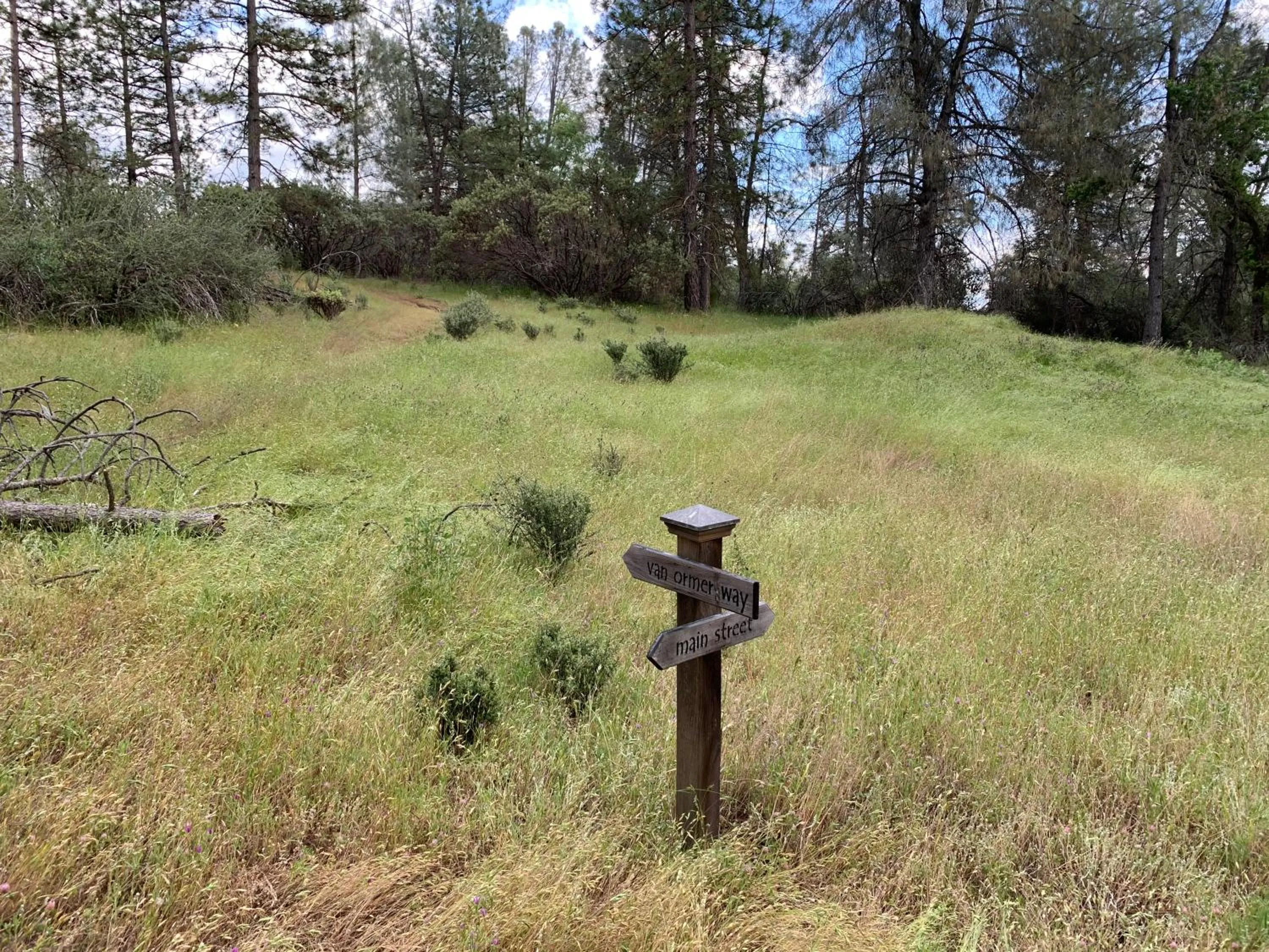 Natural landscape in Romantic Forest Lovers Nest by Casa Oso