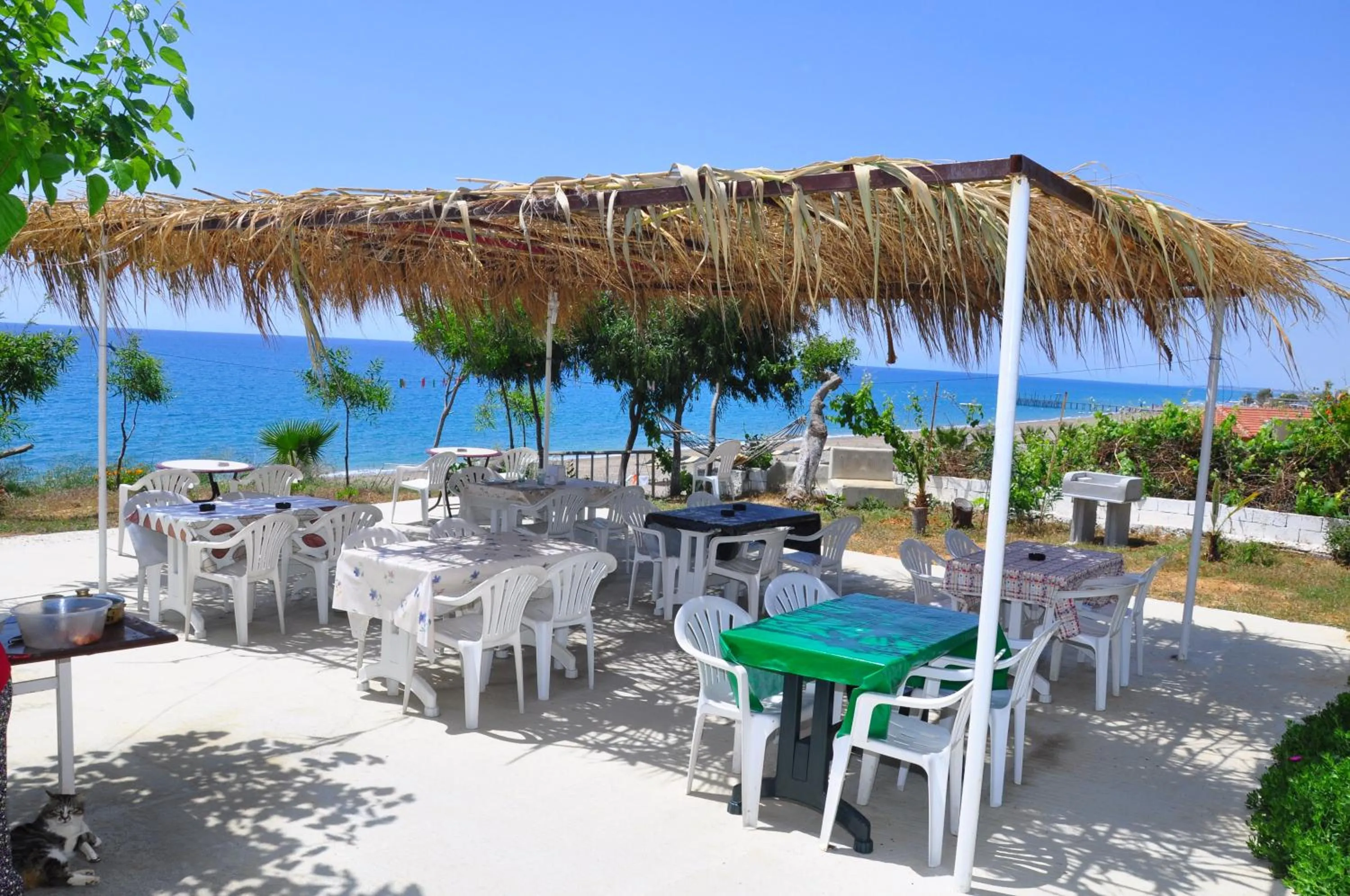 Restaurant/places to eat in Mavi Cennet Camping Caravan