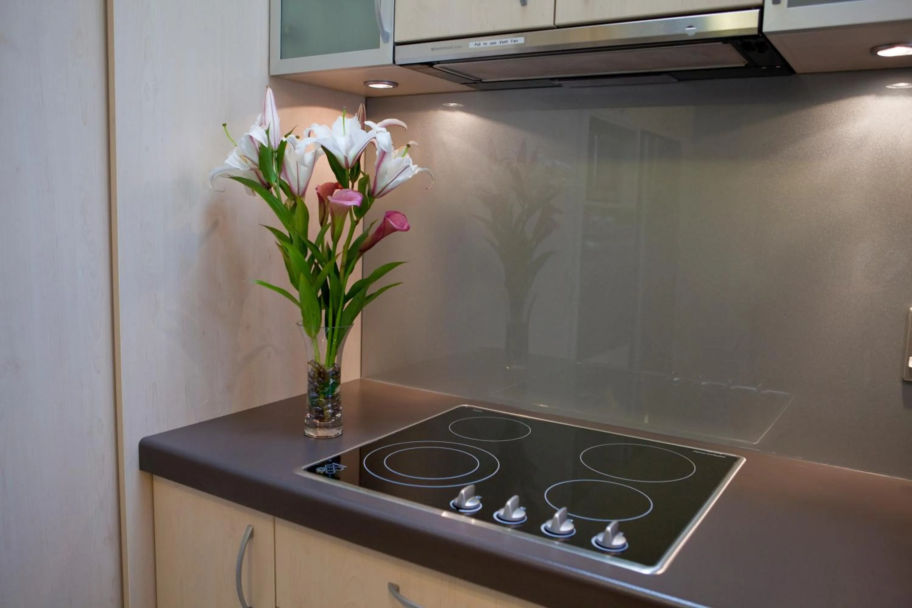 Kitchen or kitchenette in Kings Of Riccarton Motel- Close to Railway Station and Airport with Shuttle service