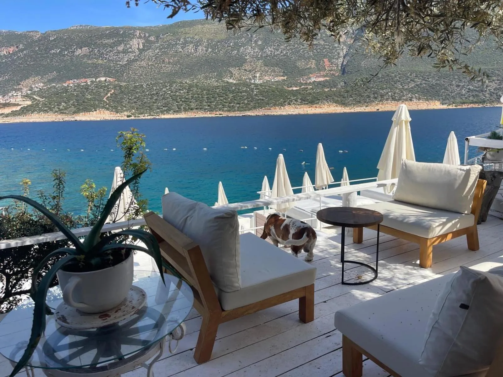 Seating area in Club Çapa Hotel