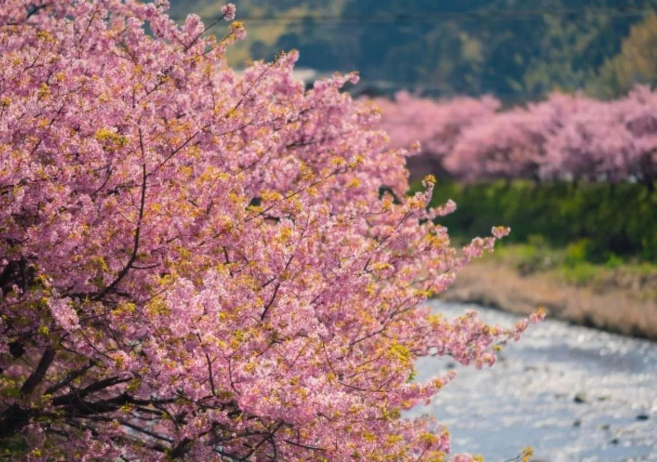 Nearby landmark in ISOLA Izukogen
