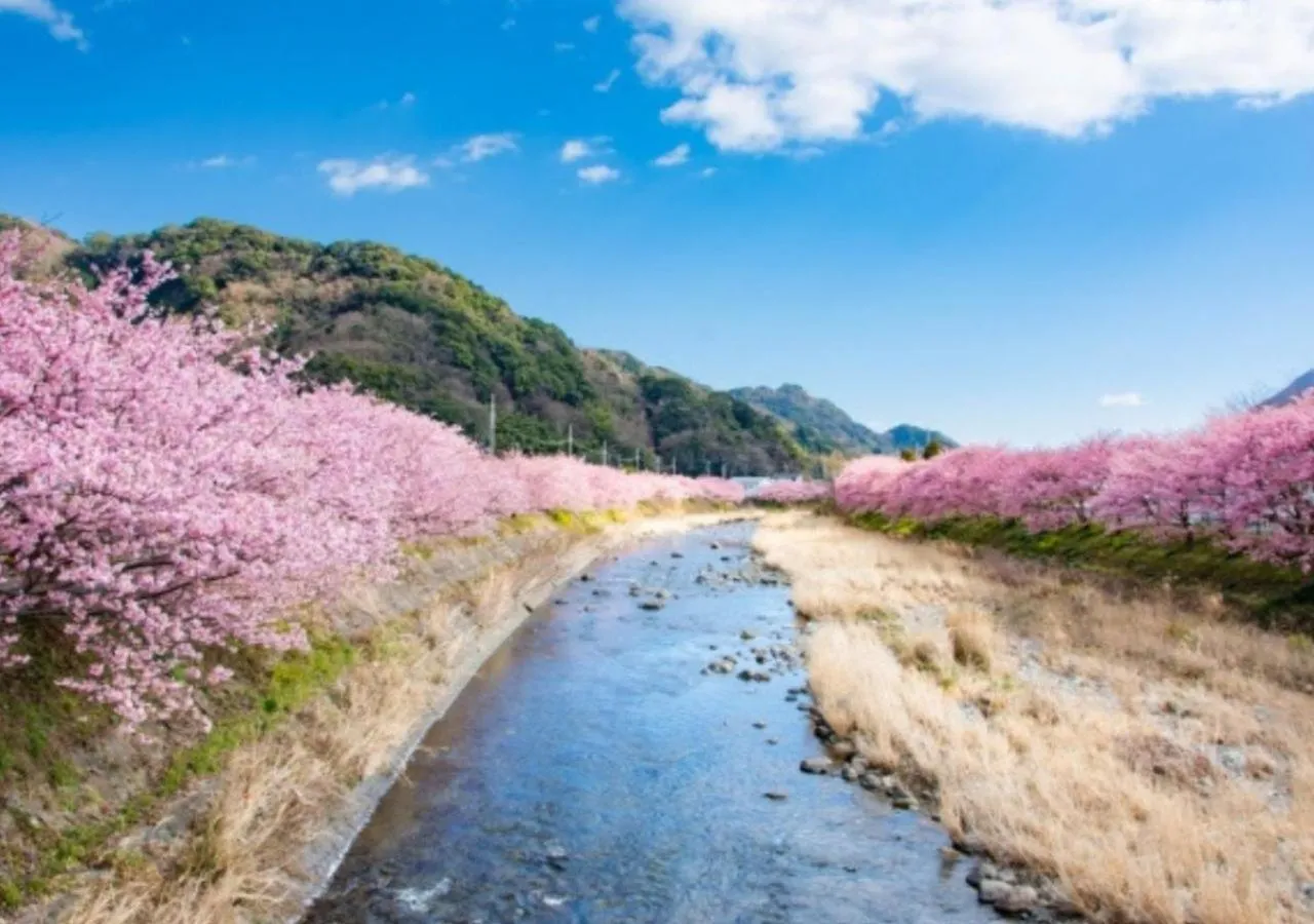 Nearby landmark in ISOLA Izukogen