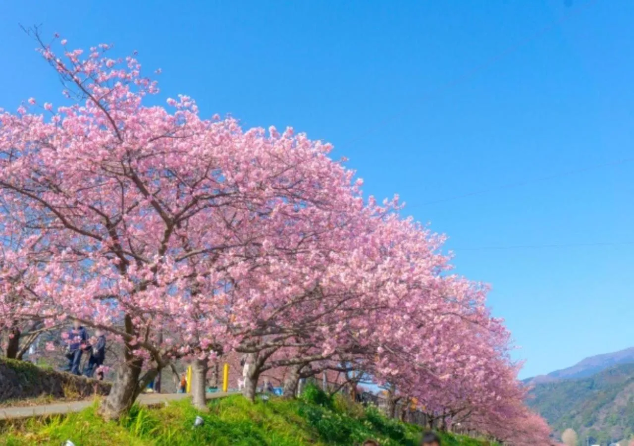 Nearby landmark in ISOLA Izukogen