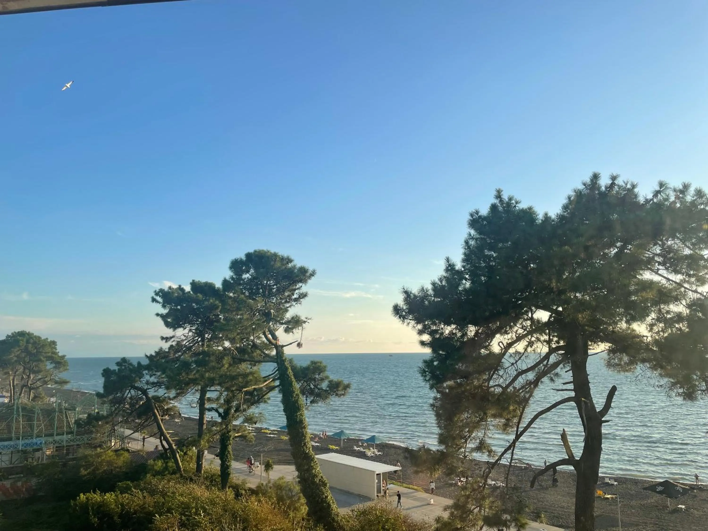 View (from property/room) in Argo Hotel