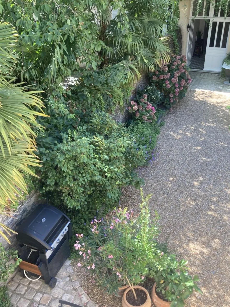 BBQ facilities in La Maison du Cocher - Chambre indépendante climatisée en Hypercentre - Lit Queen Size