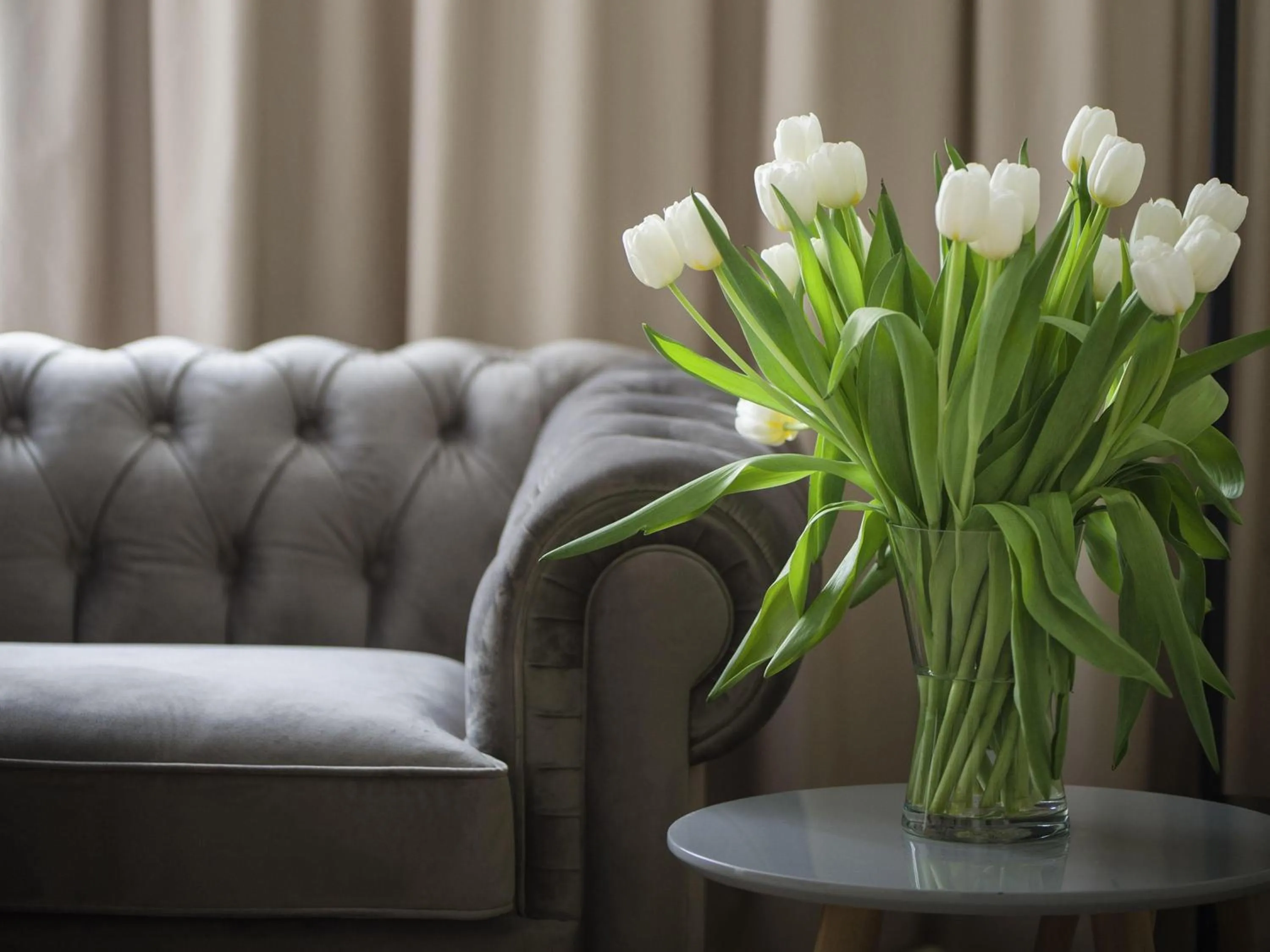 Business facilities in Mercure Lublin Centrum