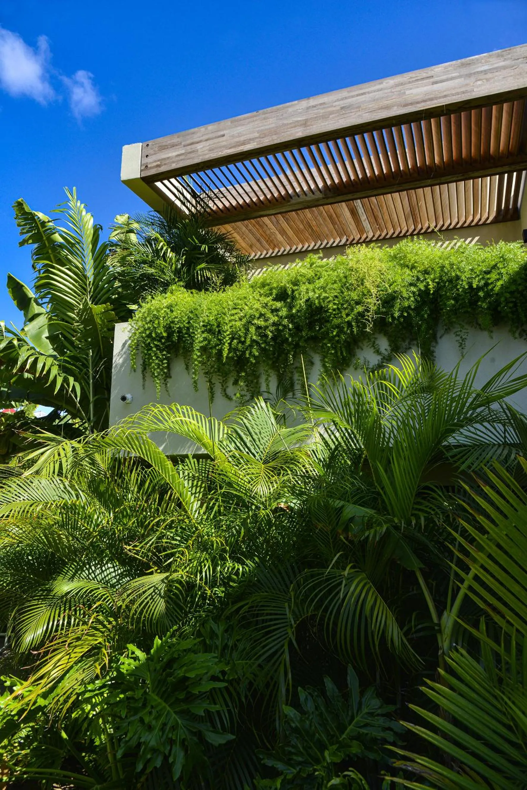 Garden in Le Martin Boutique Hôtel